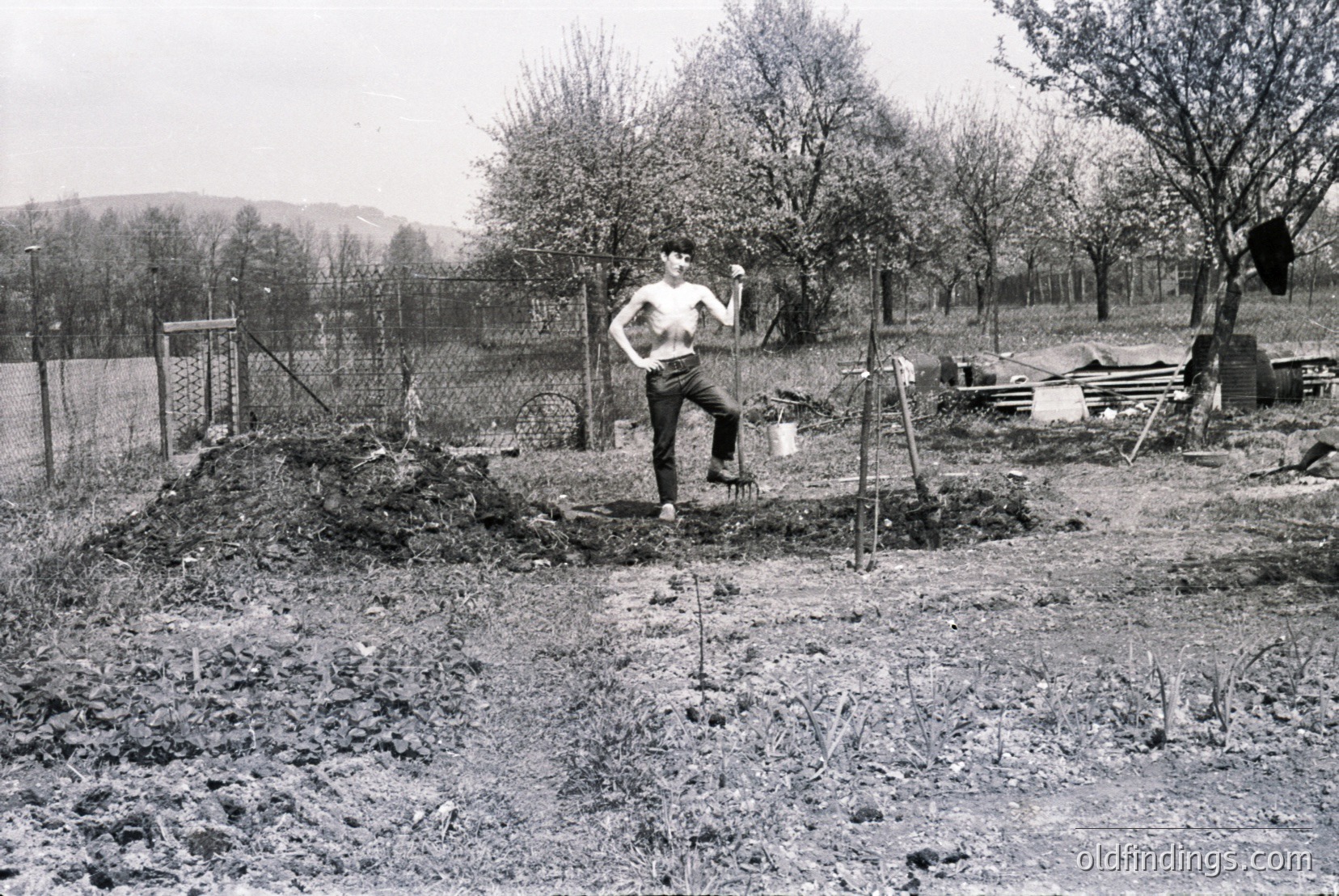 Vintage photograph