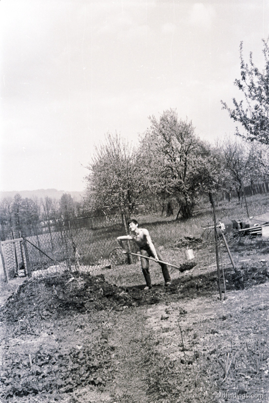 Vintage photograph
