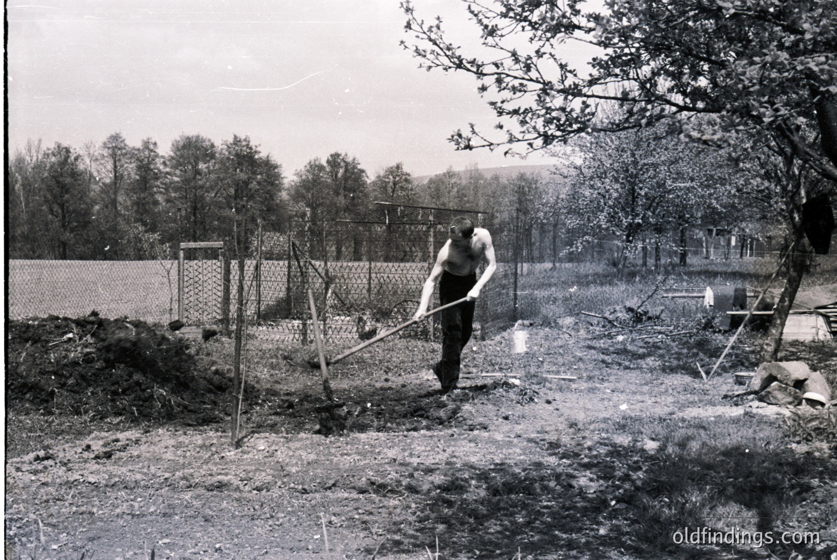 Vintage photograph