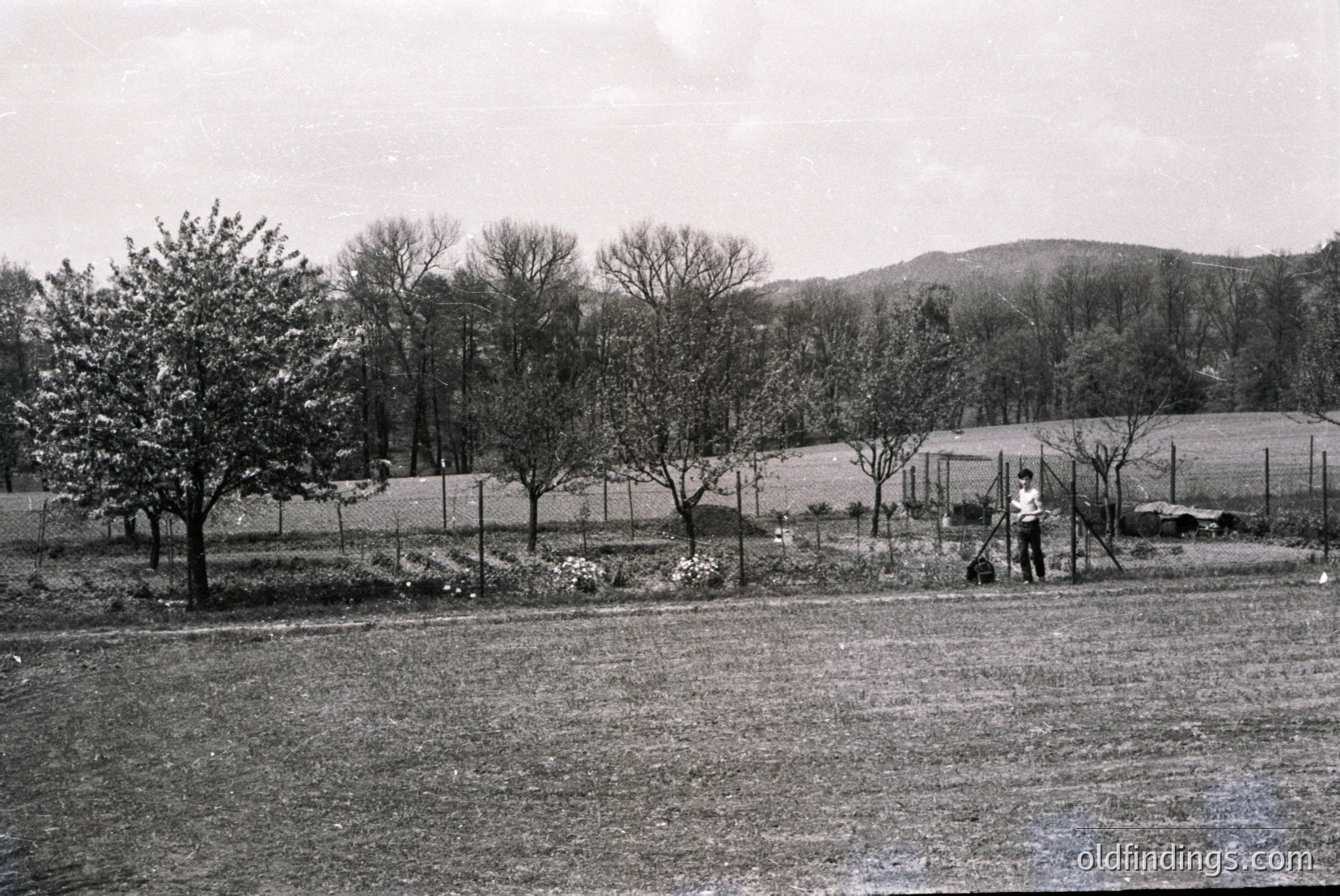 Vintage photograph