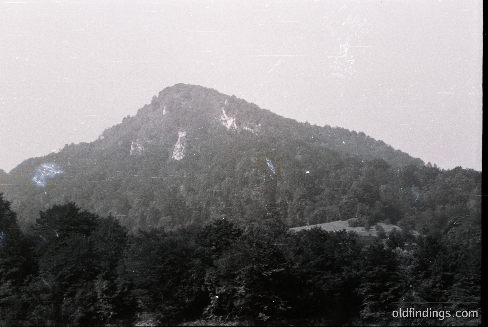 Vintage photograph