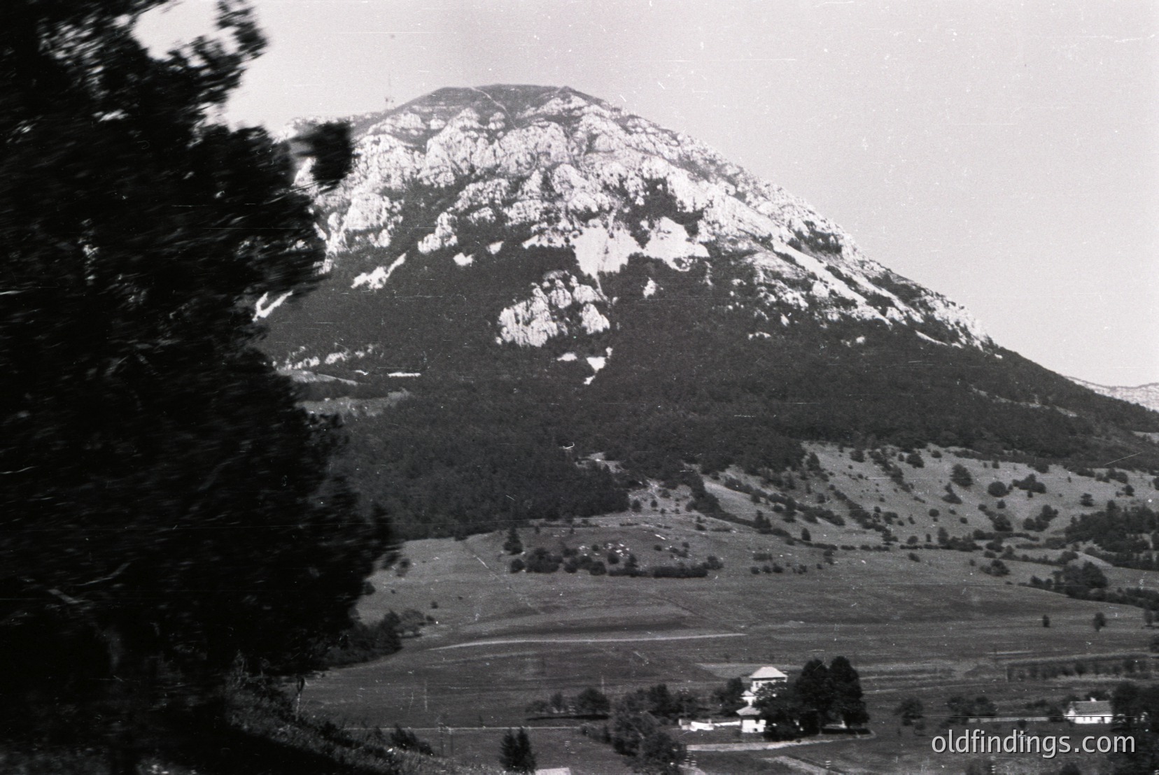 Vintage photograph