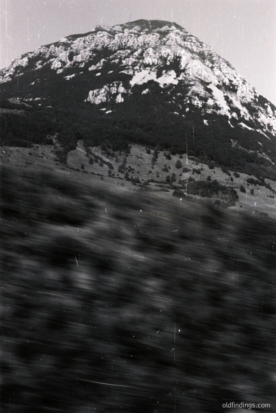 Vintage photograph