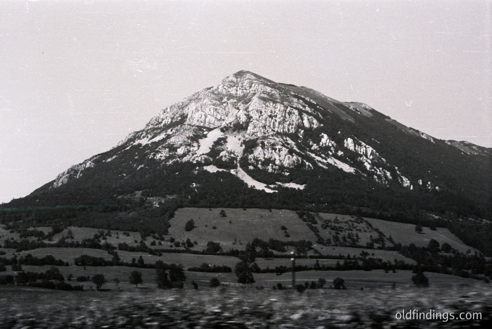 Vintage photograph