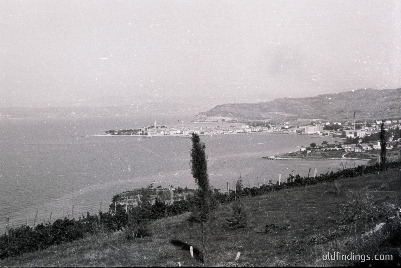 Vintage photograph