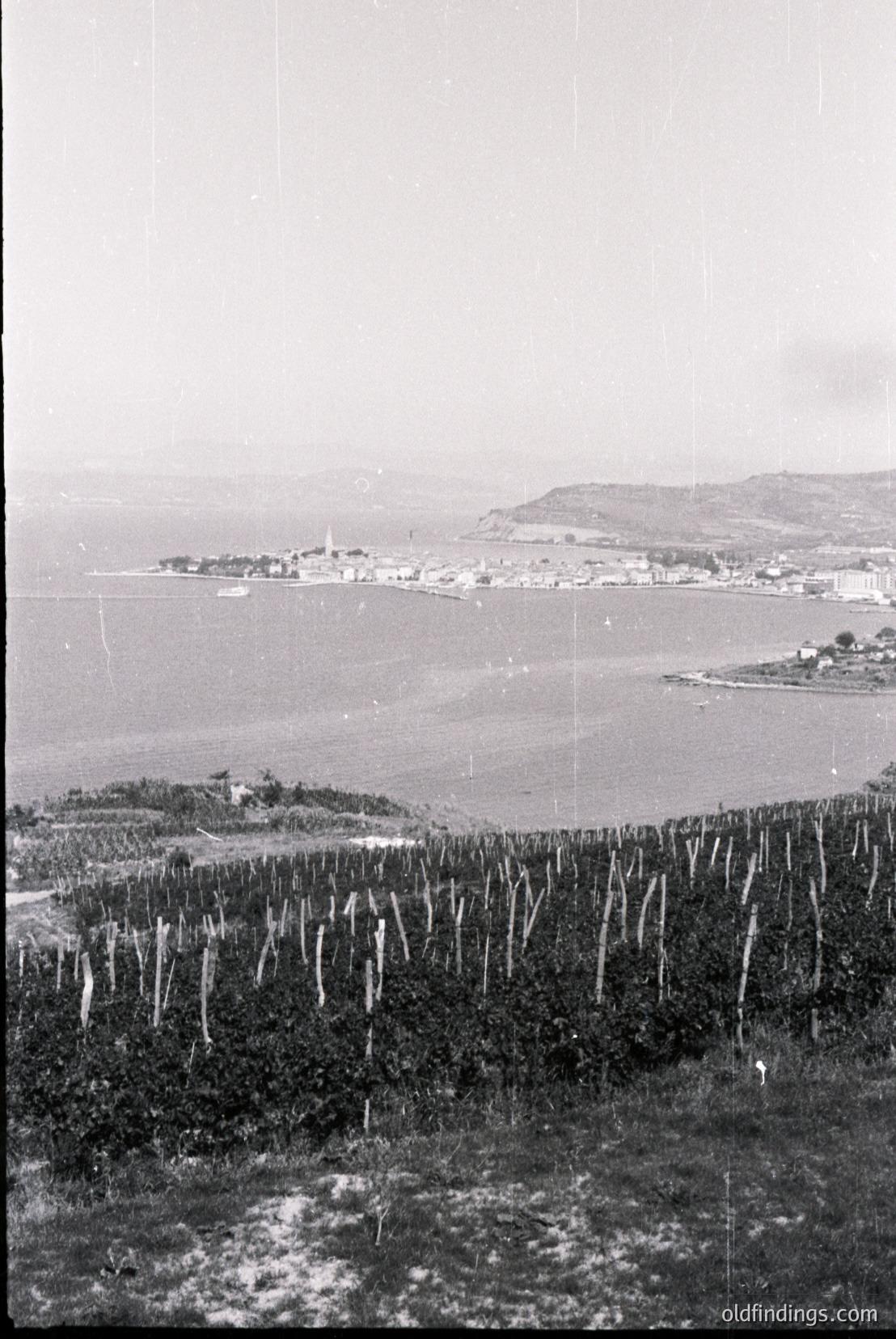 Vintage photograph