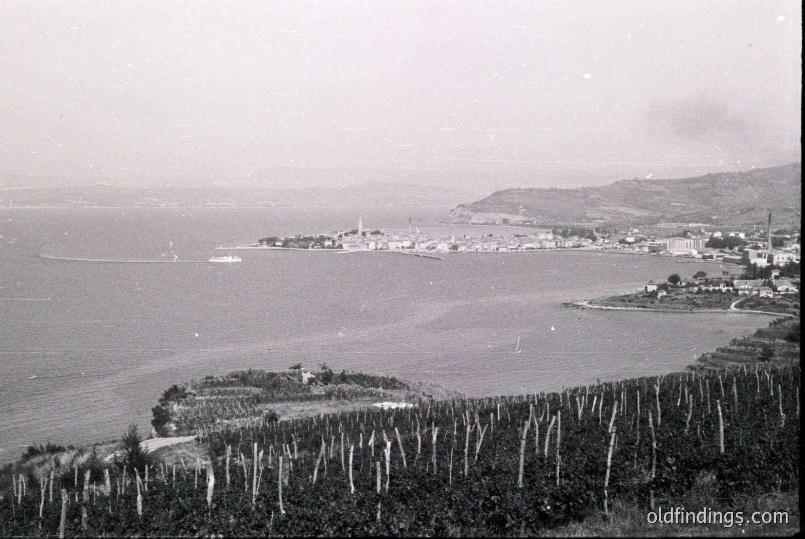 Vintage photograph