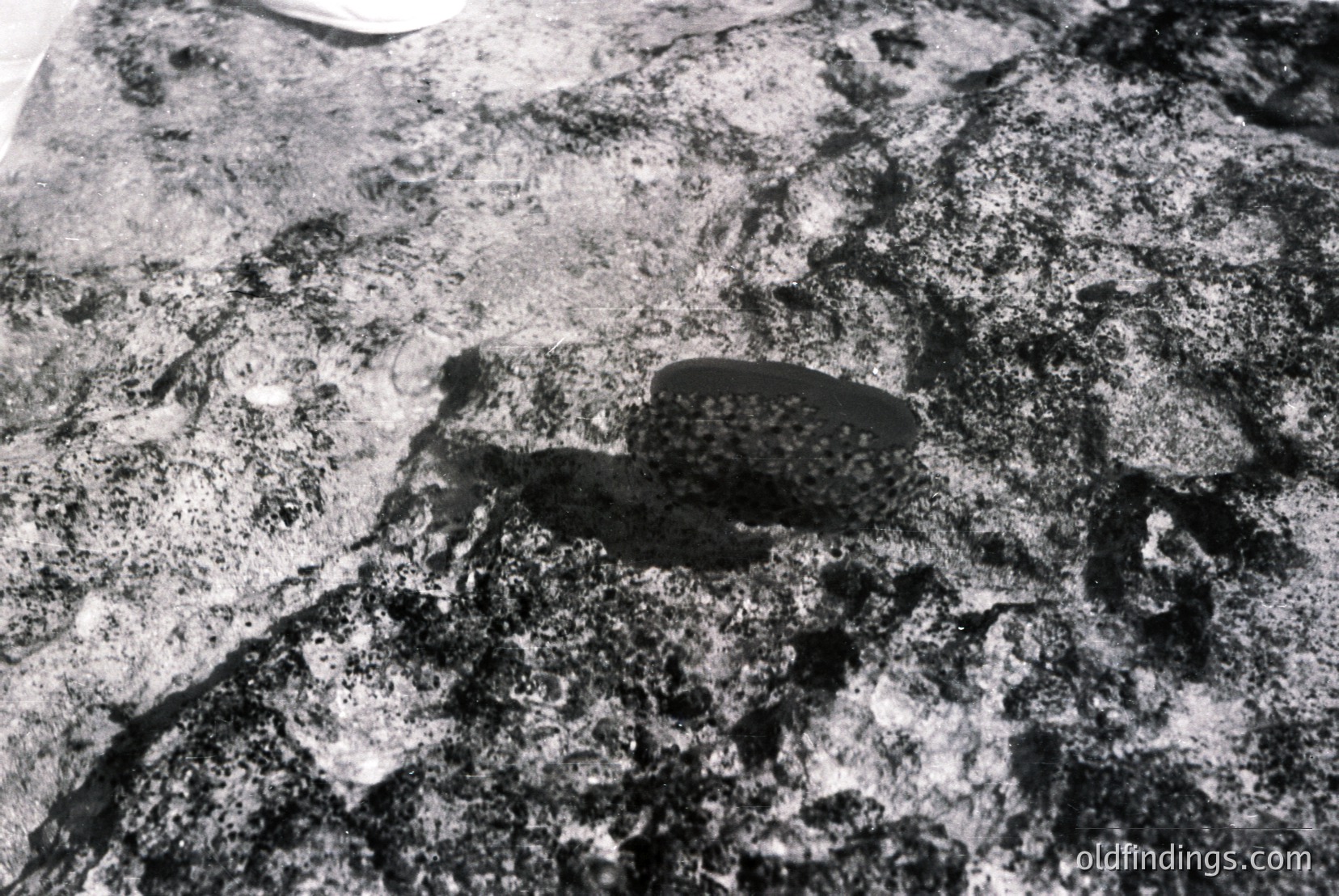 Vintage photograph