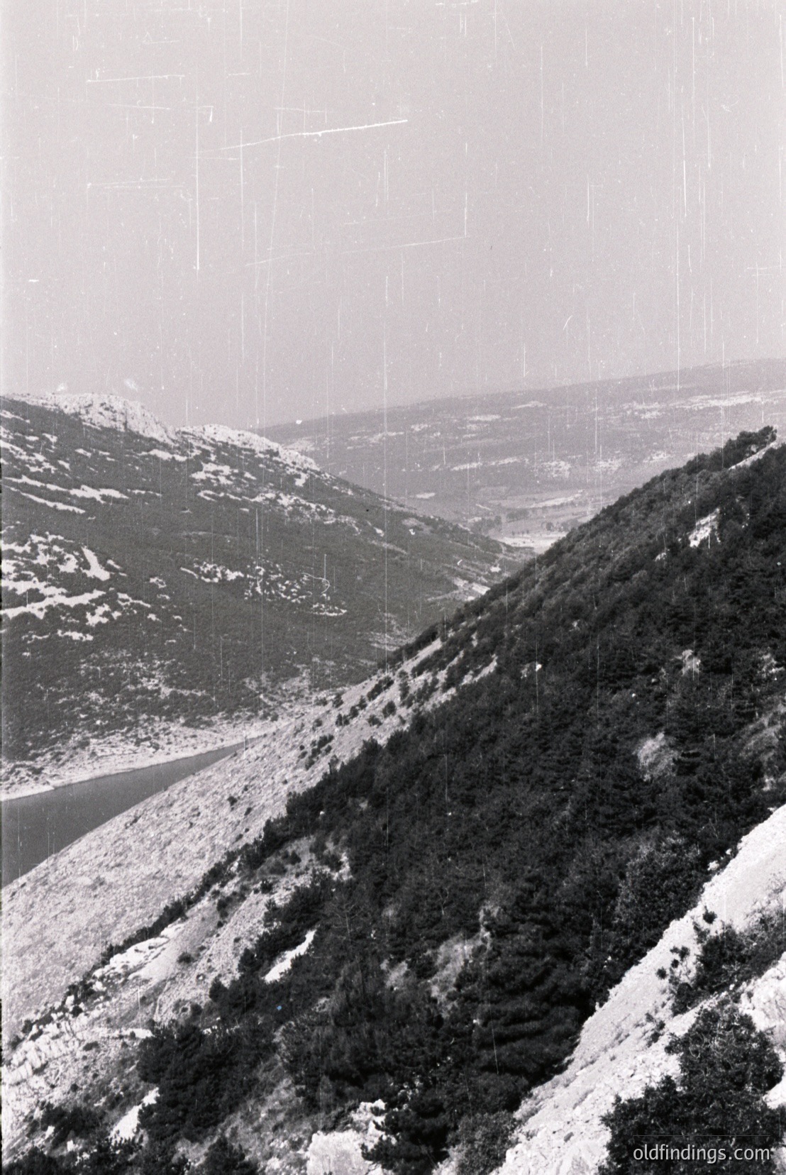 Vintage photograph