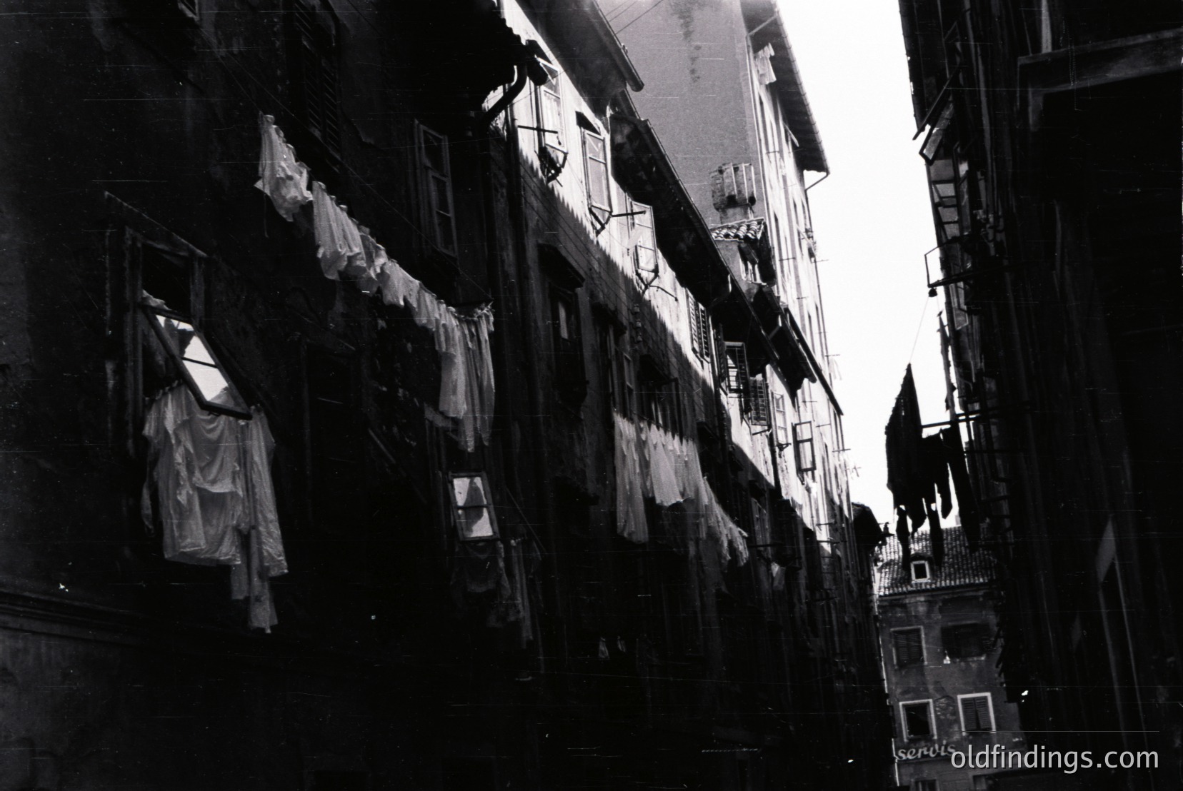 Vintage photograph