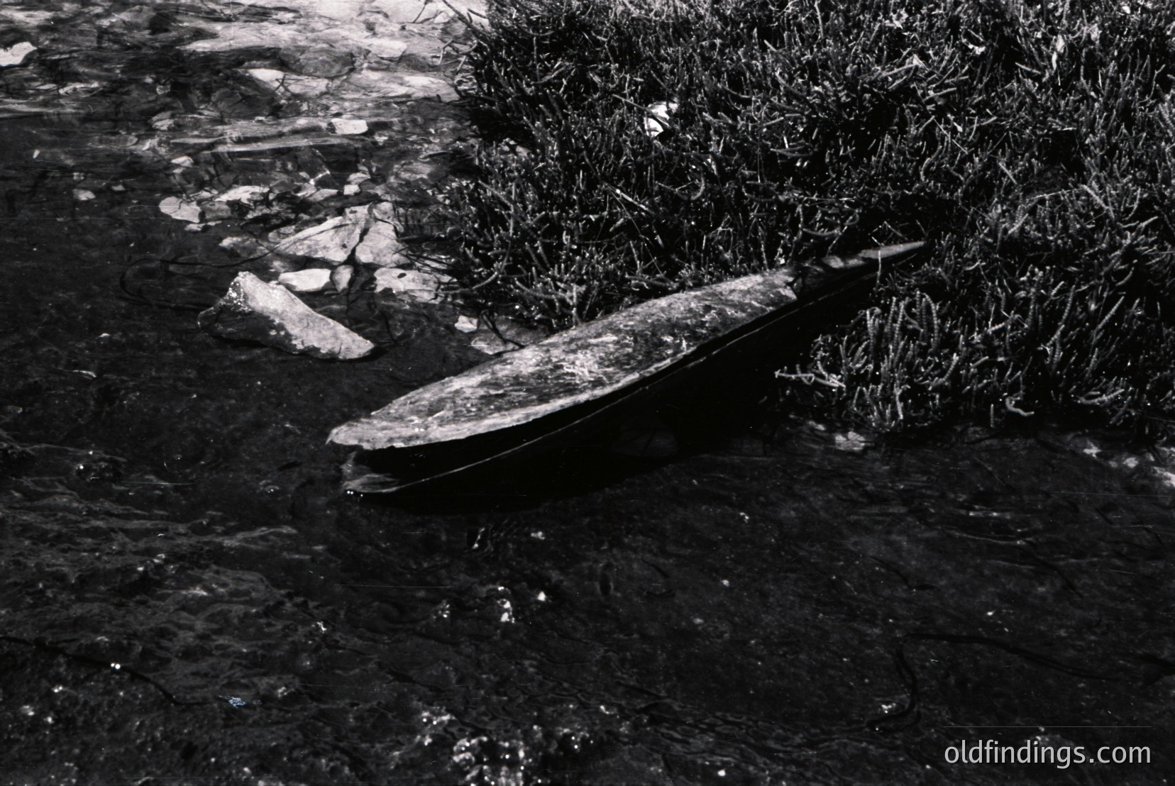 Vintage photograph