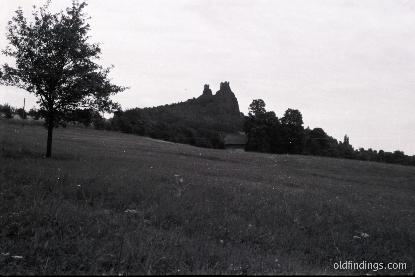 Vintage photograph