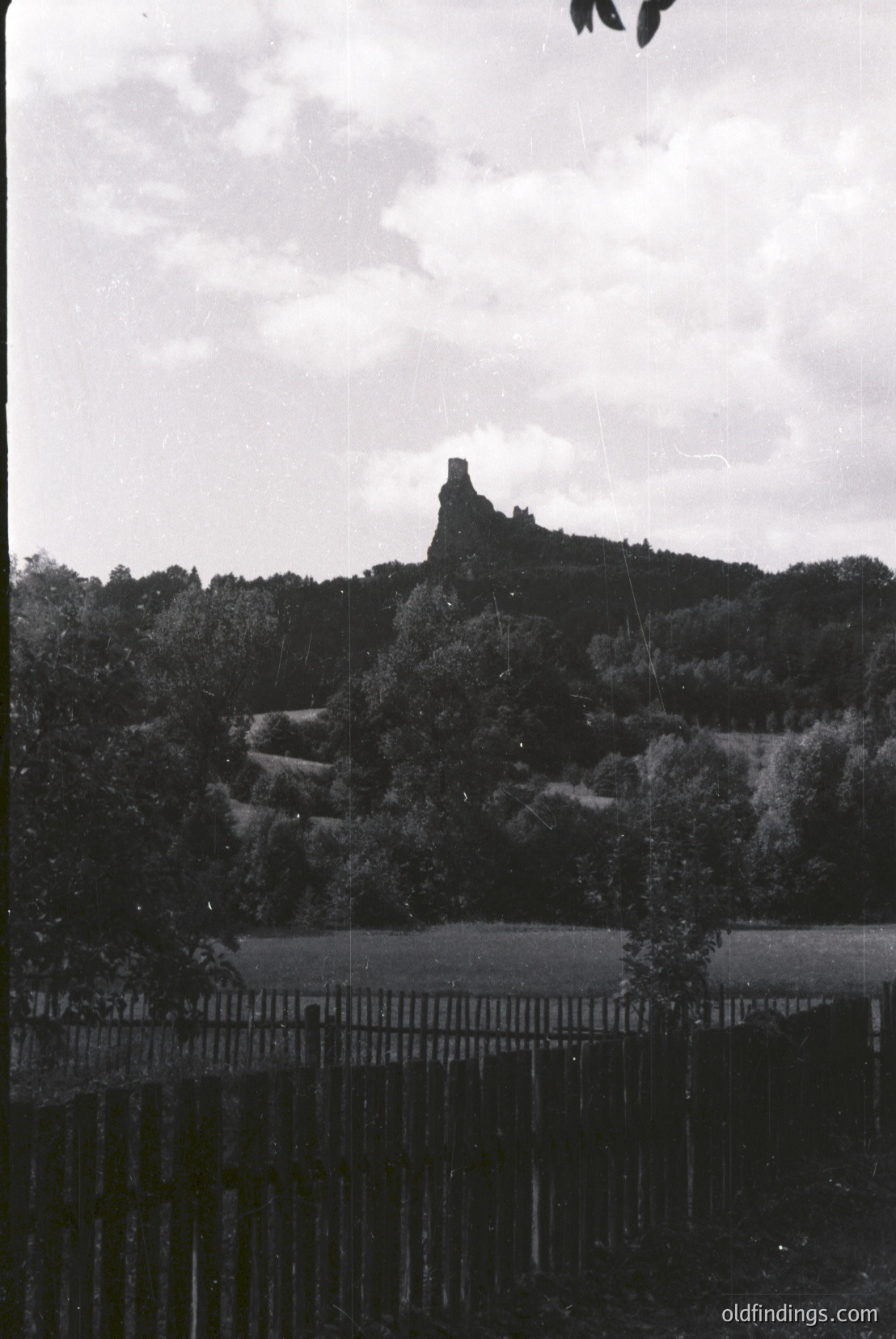 Vintage photograph