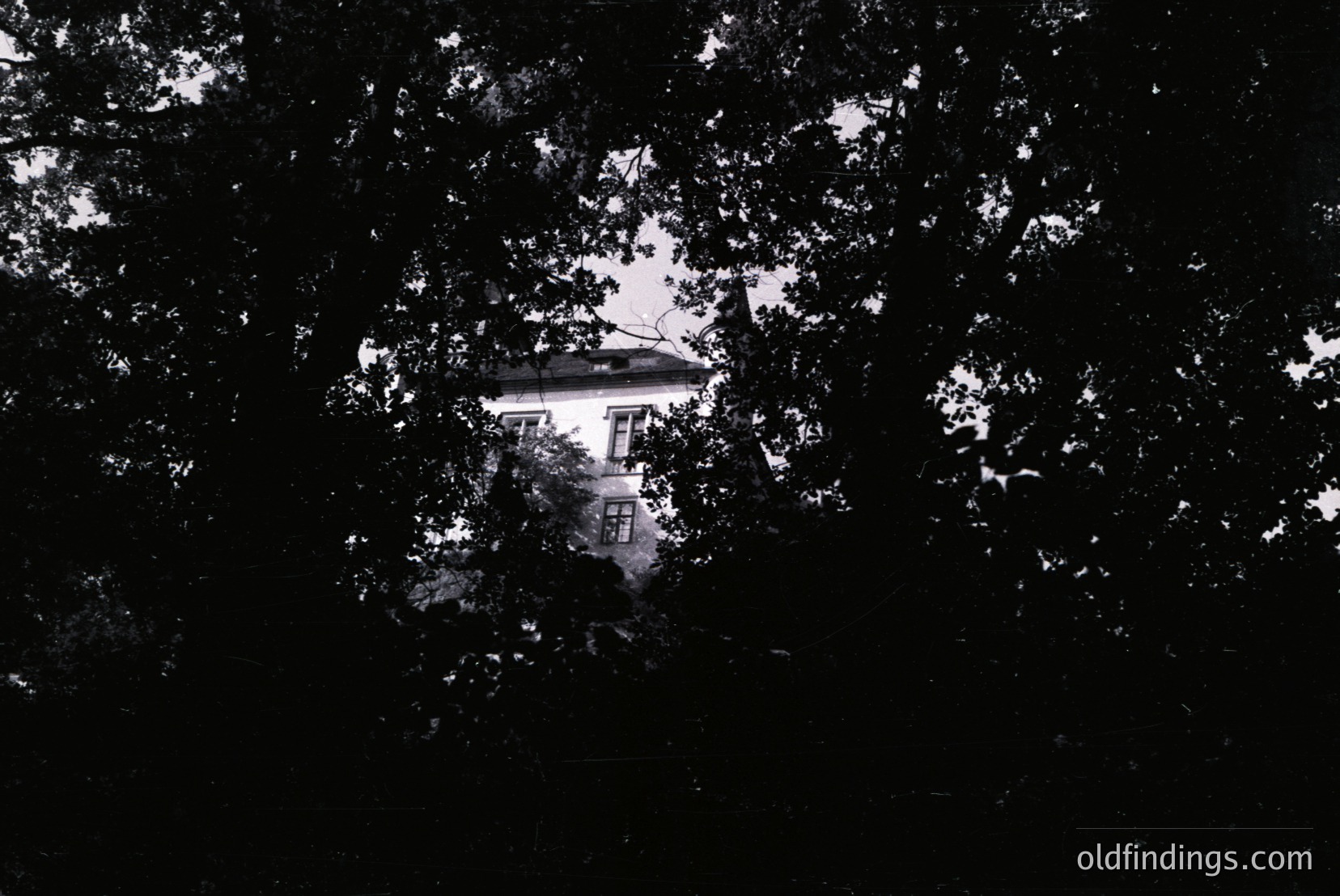 Vintage photograph