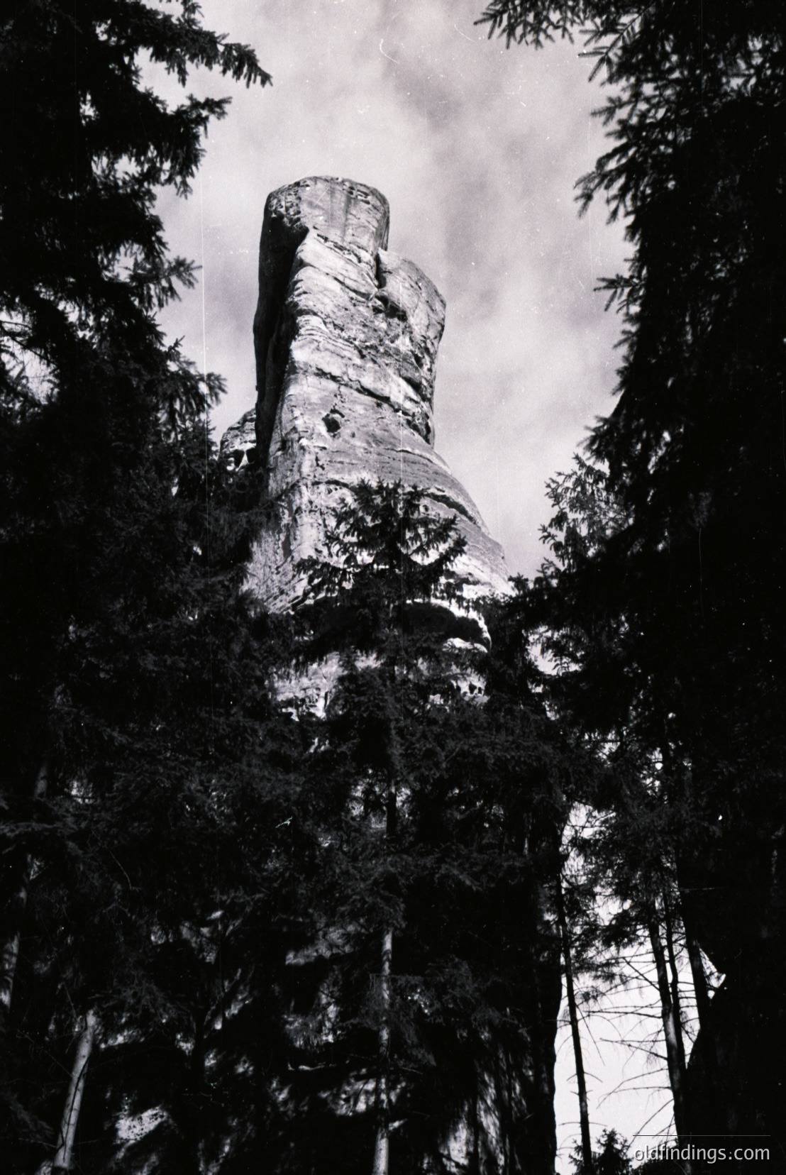 Vintage photograph