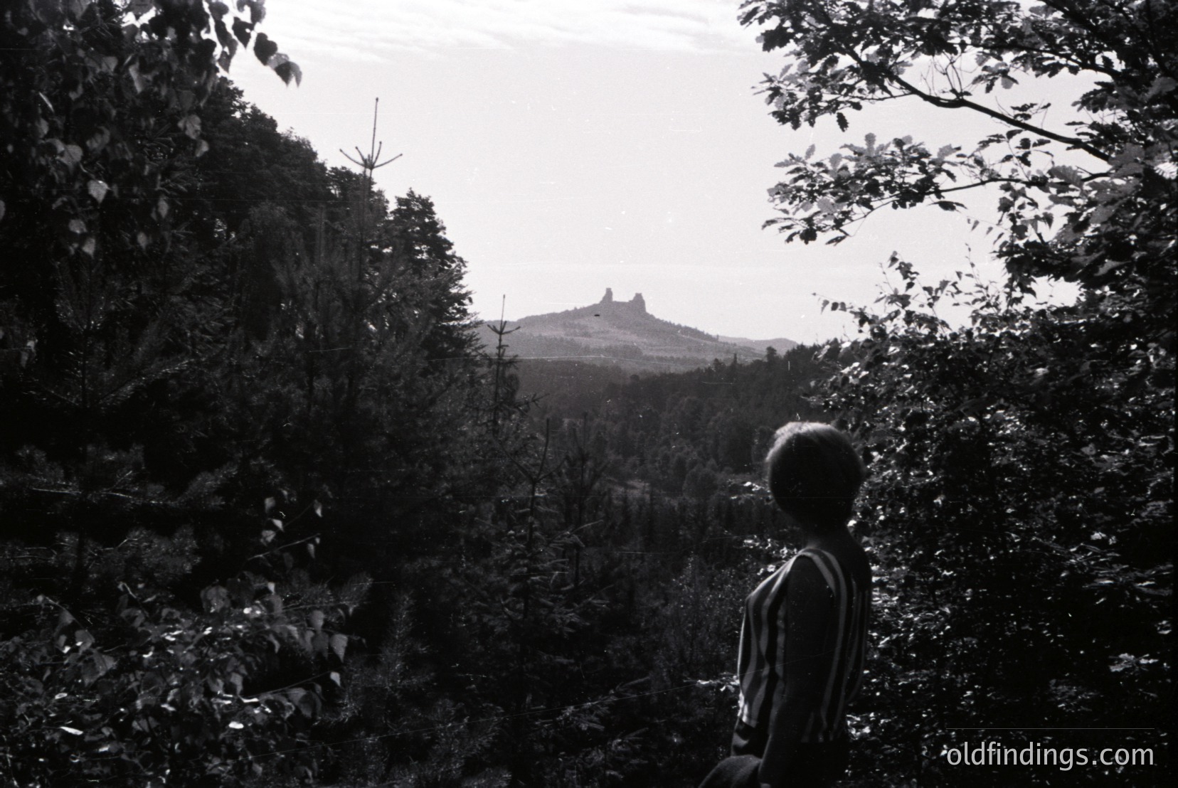 Vintage photograph