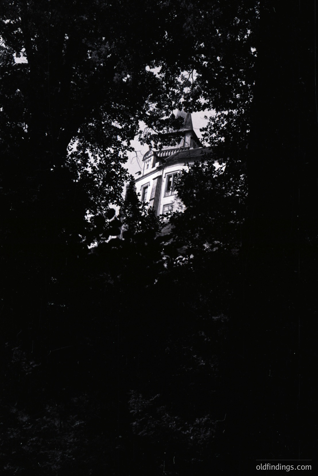 Vintage photograph
