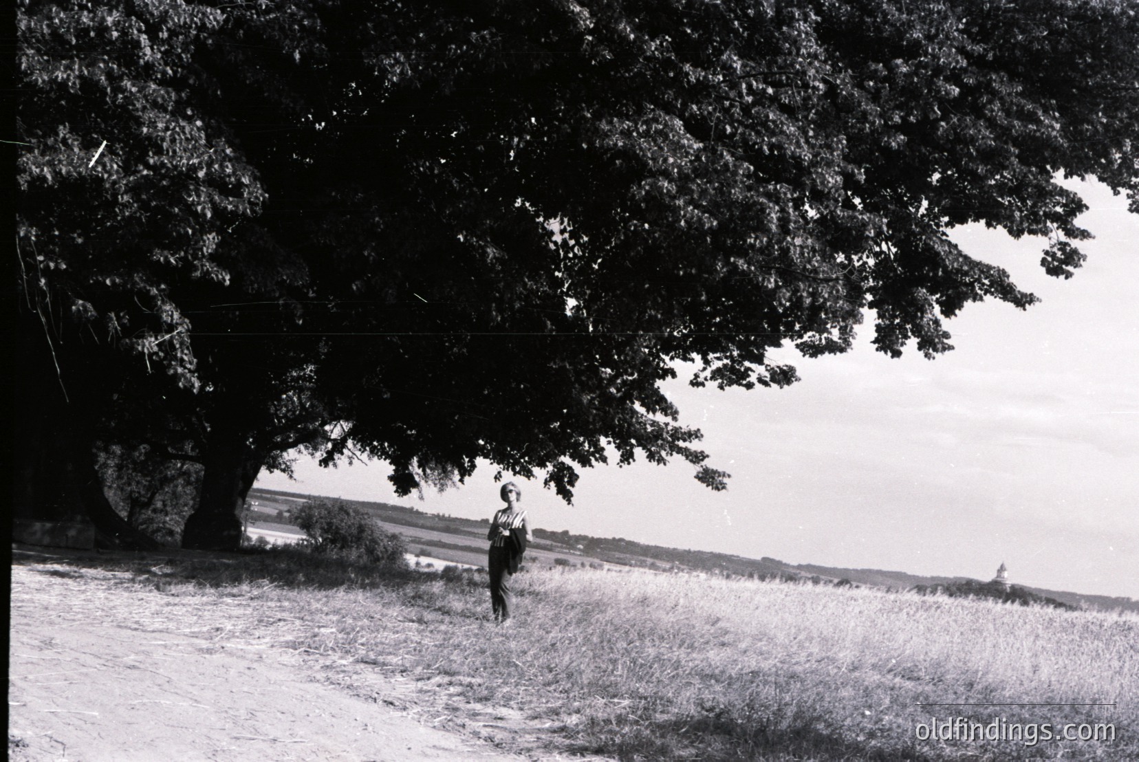 Vintage photograph