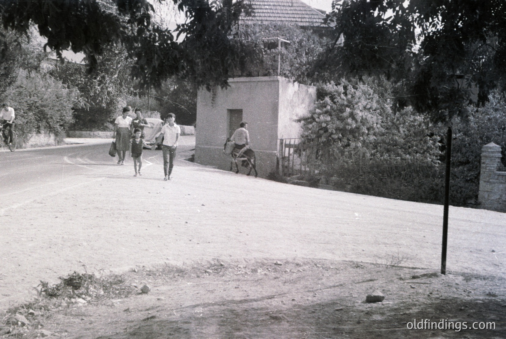 Vintage photograph