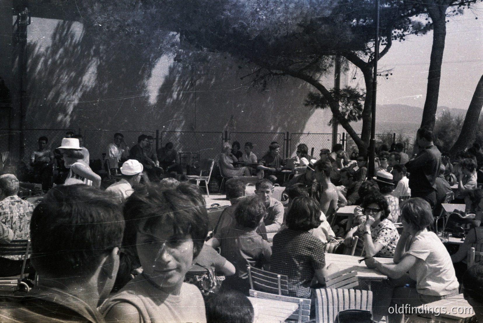 Vintage photograph