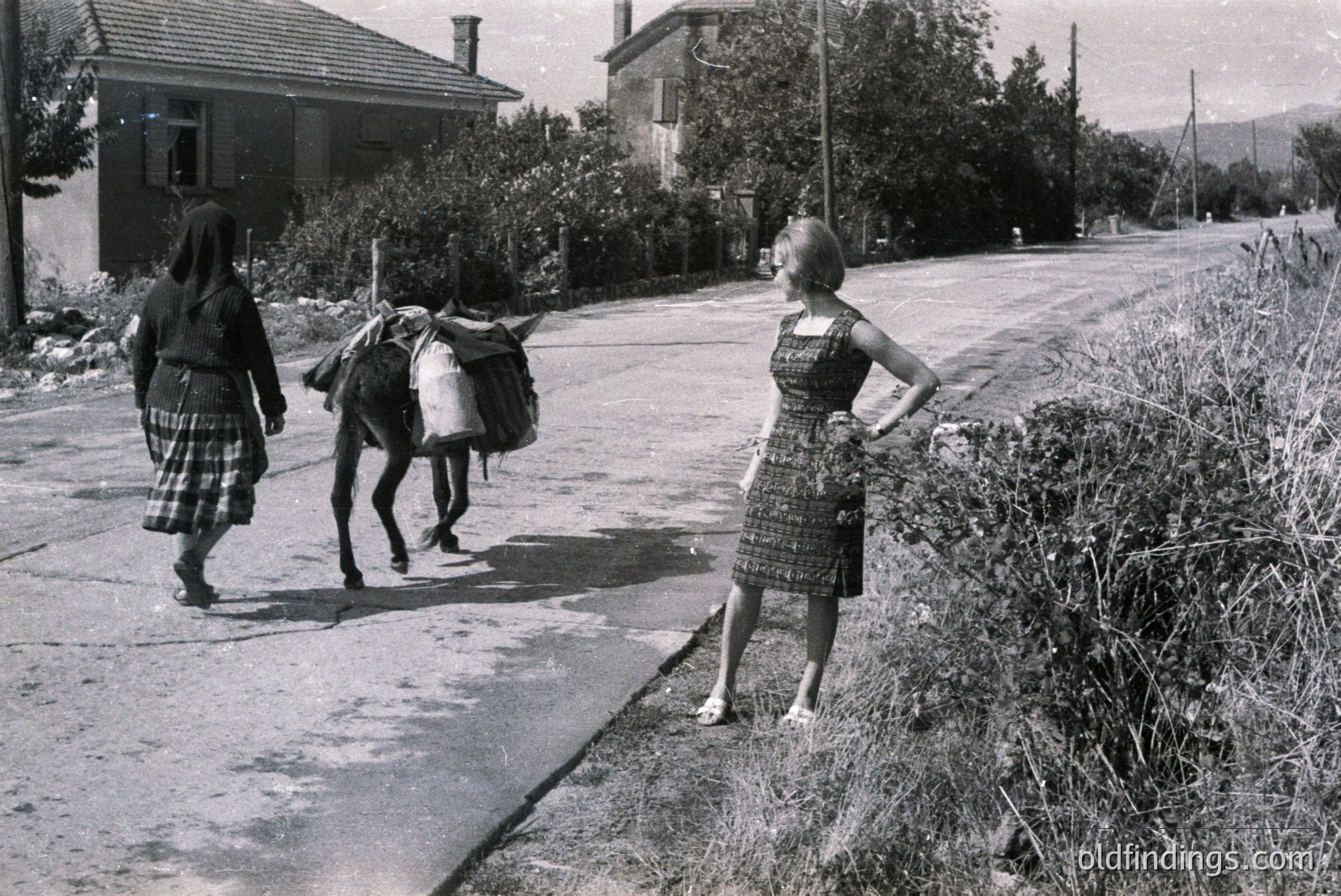 Vintage photograph