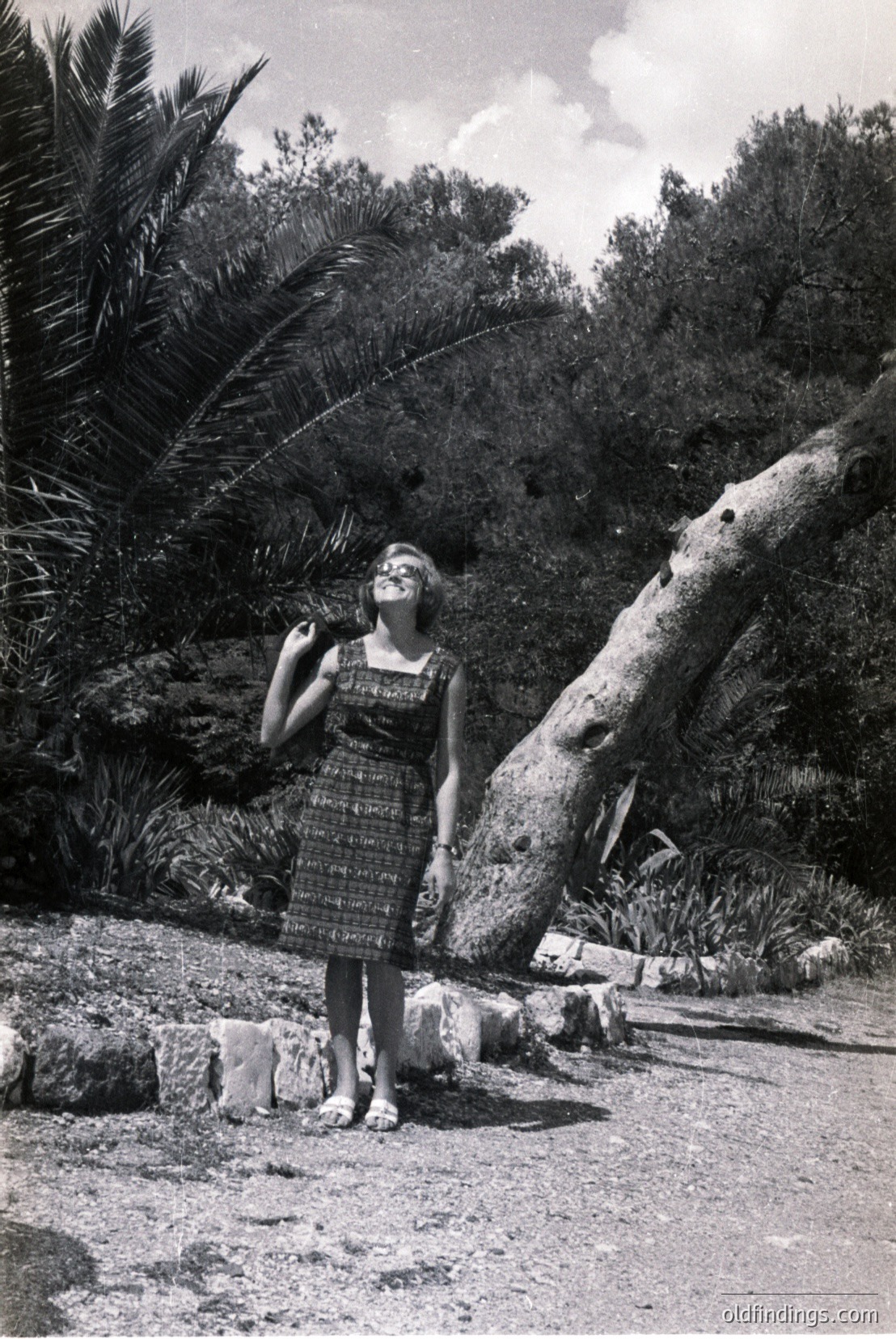 Vintage photograph