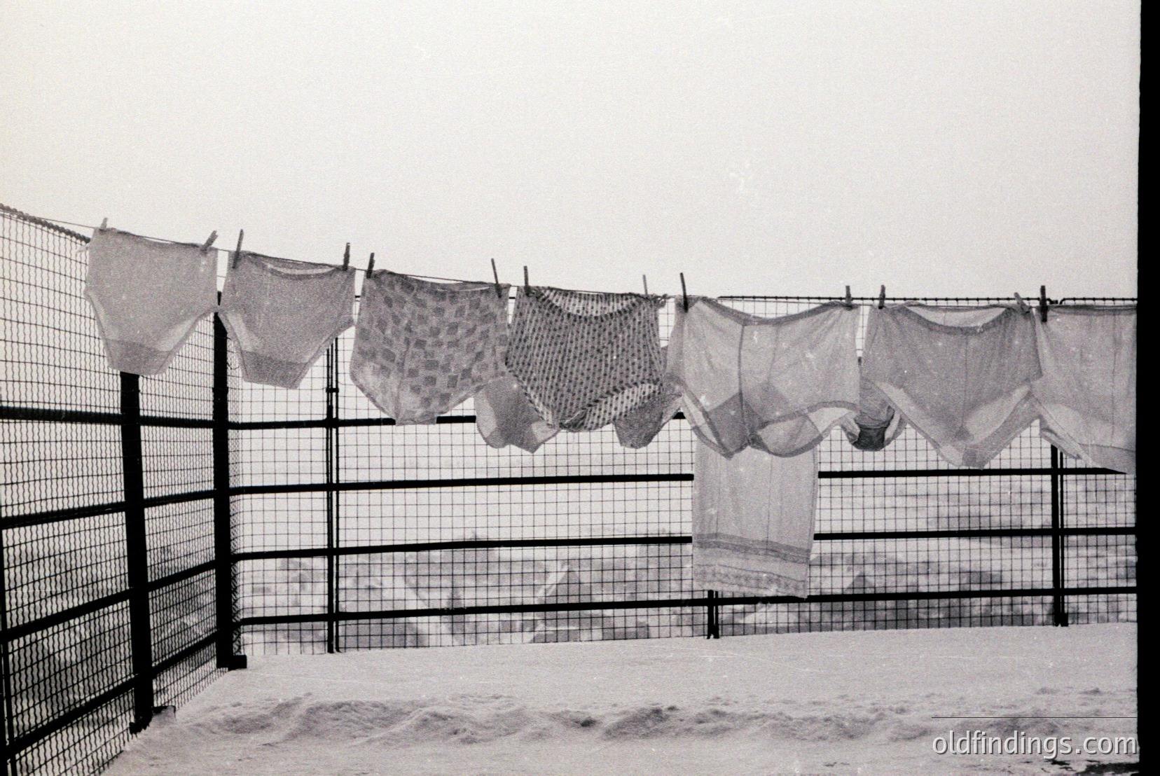 Vintage photograph