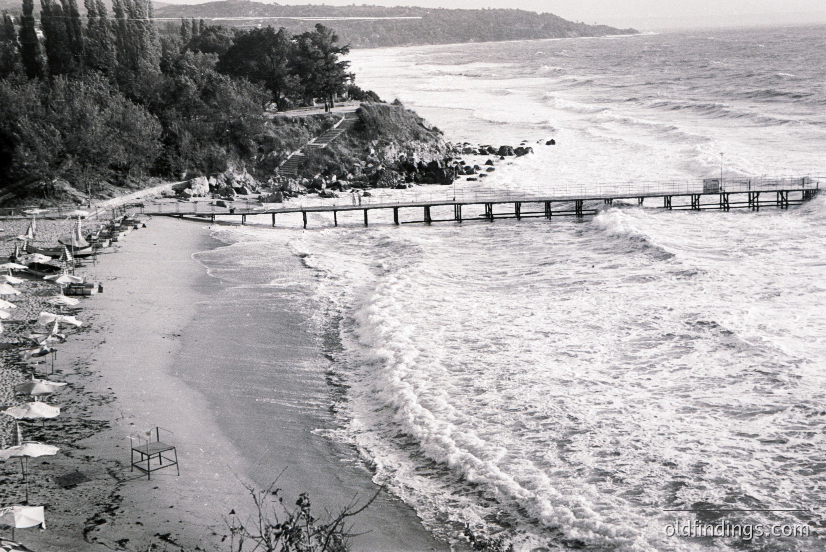 Vintage photograph