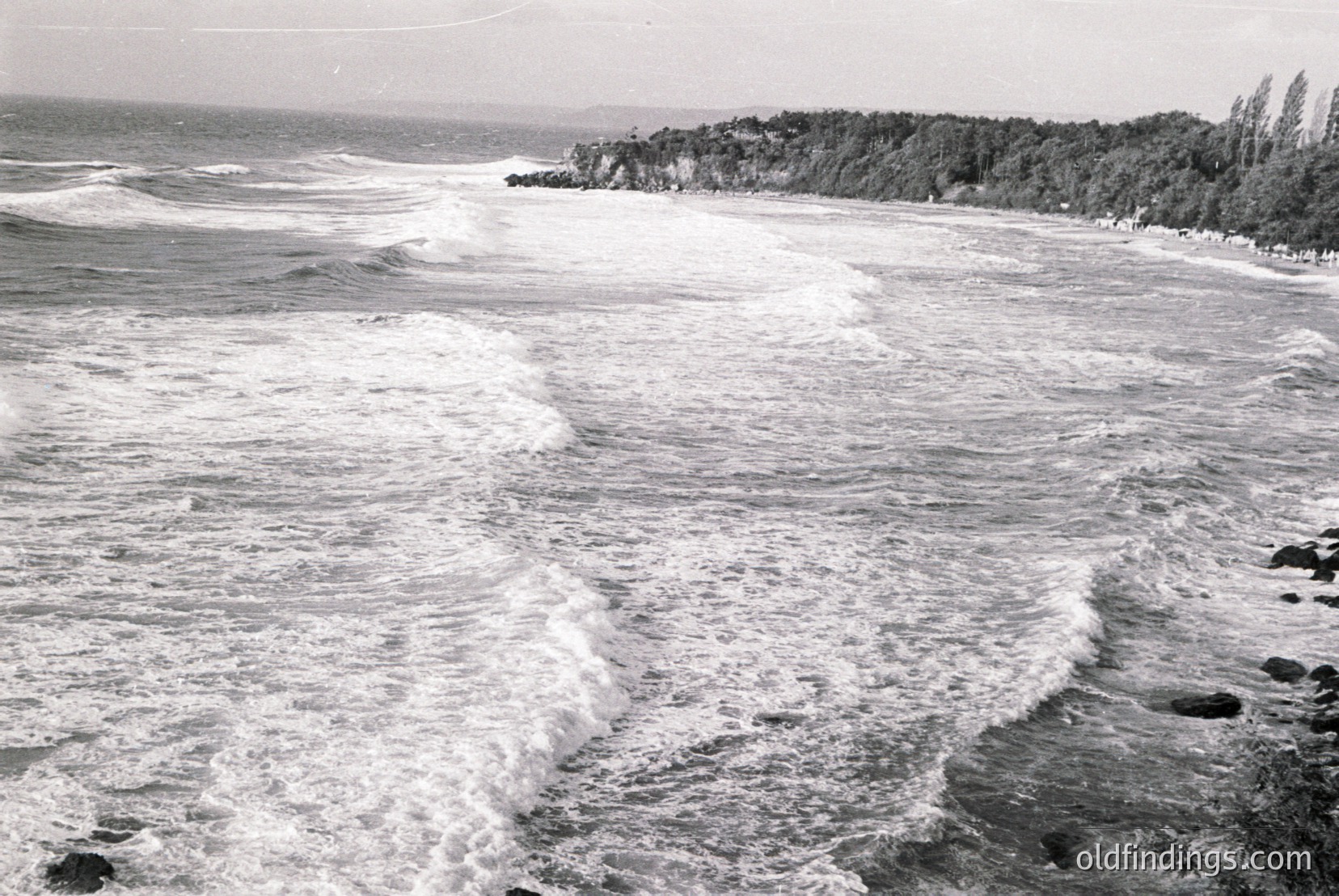 Vintage photograph