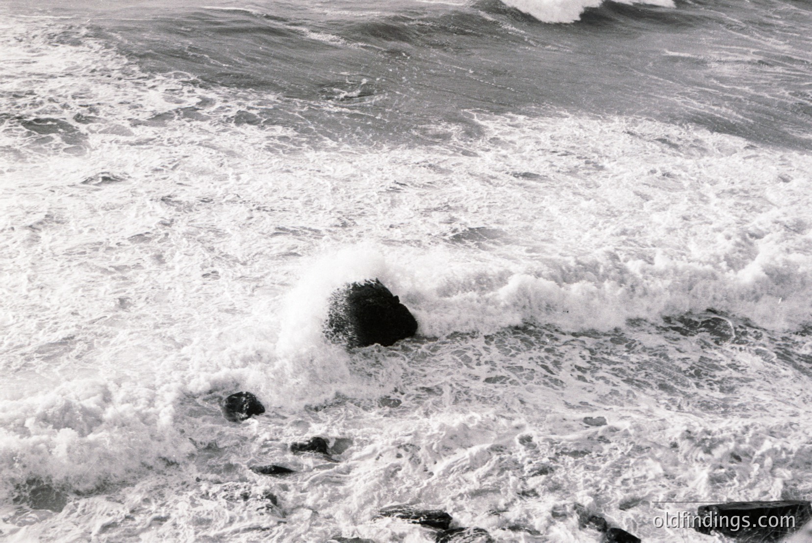 Vintage photograph
