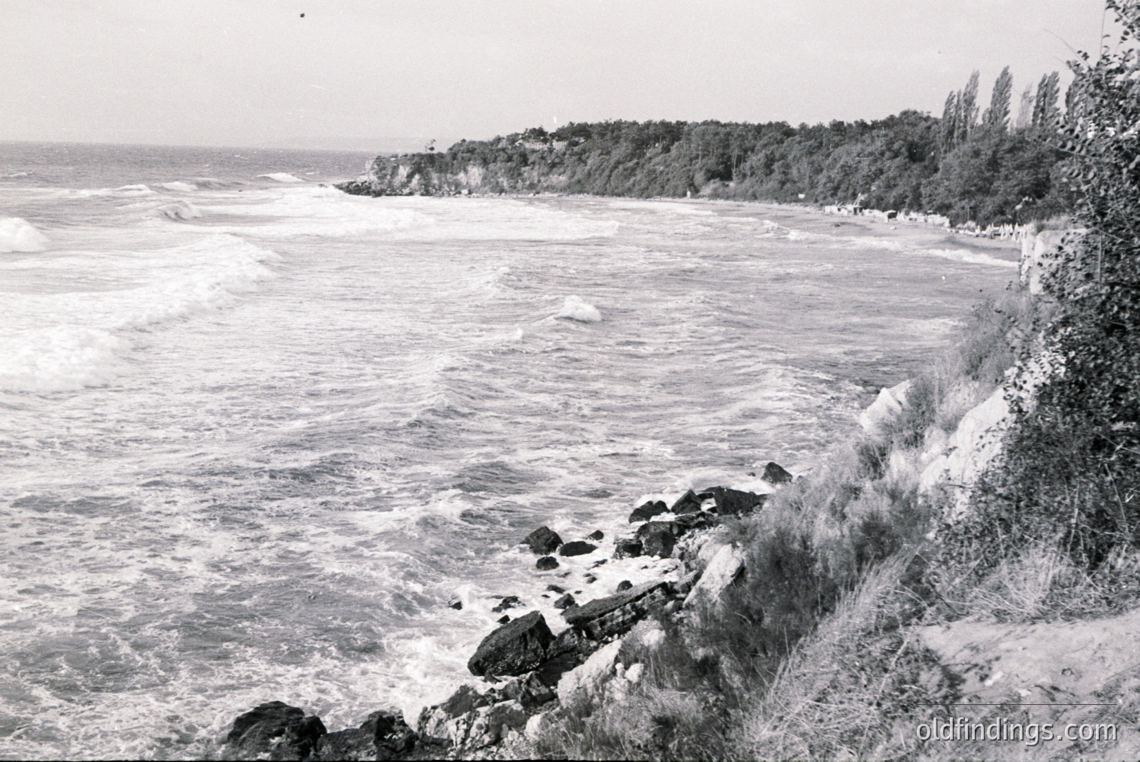 Vintage photograph