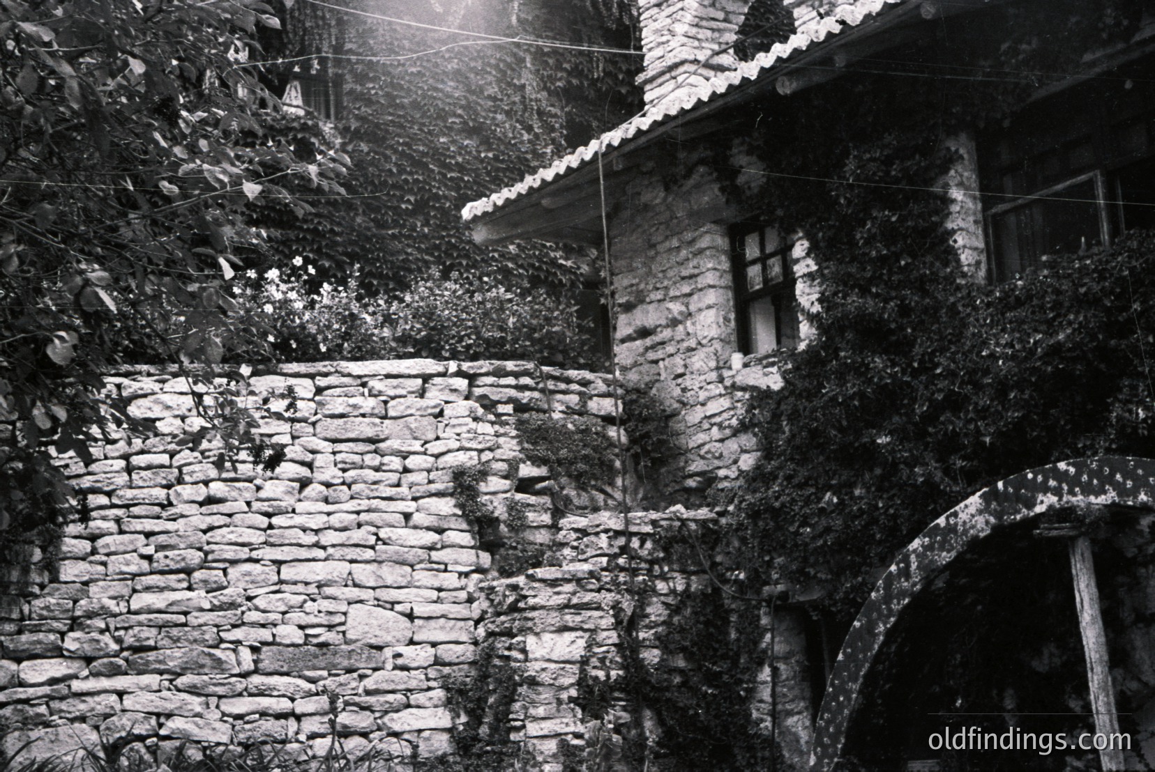 Vintage photograph