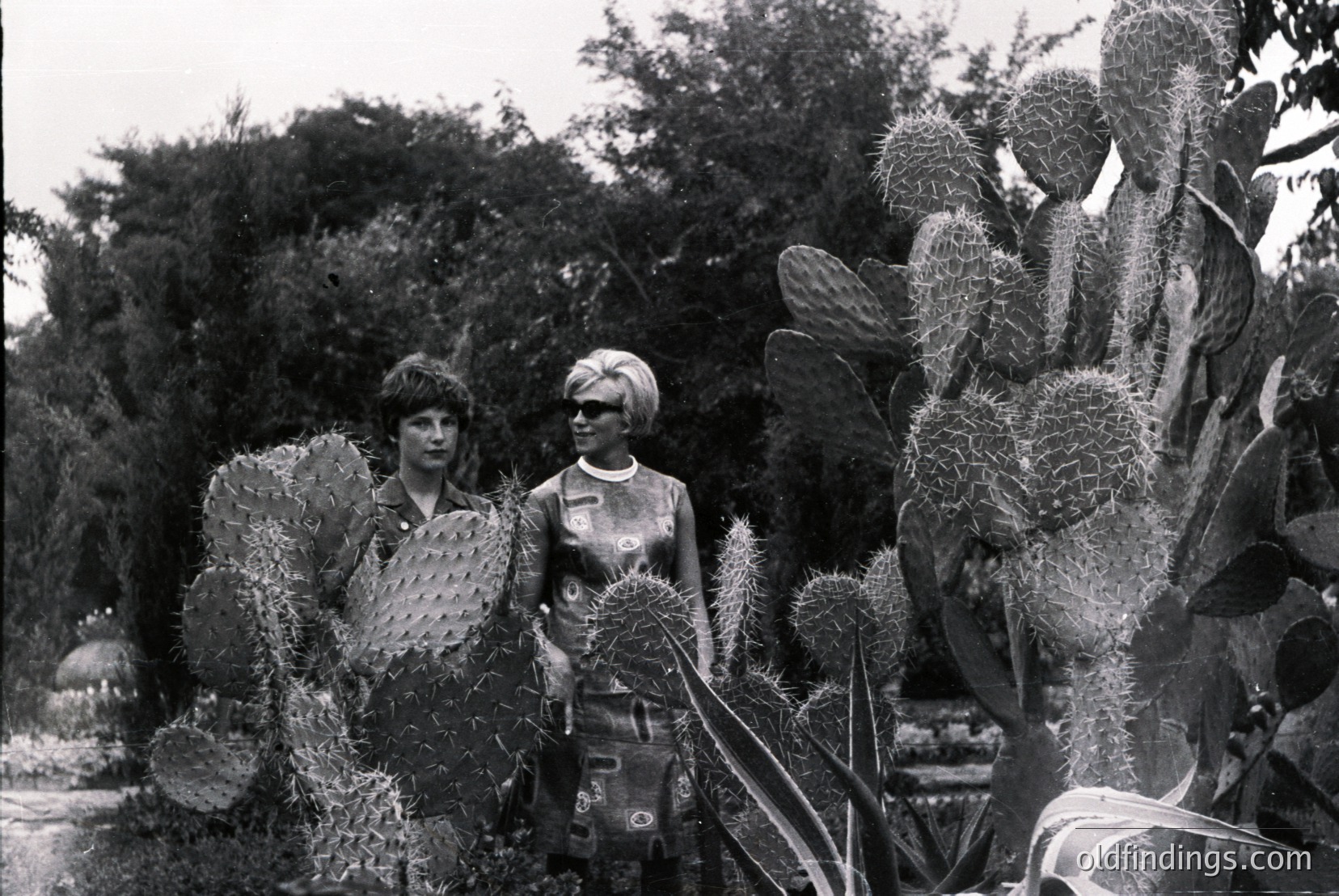 Vintage photograph