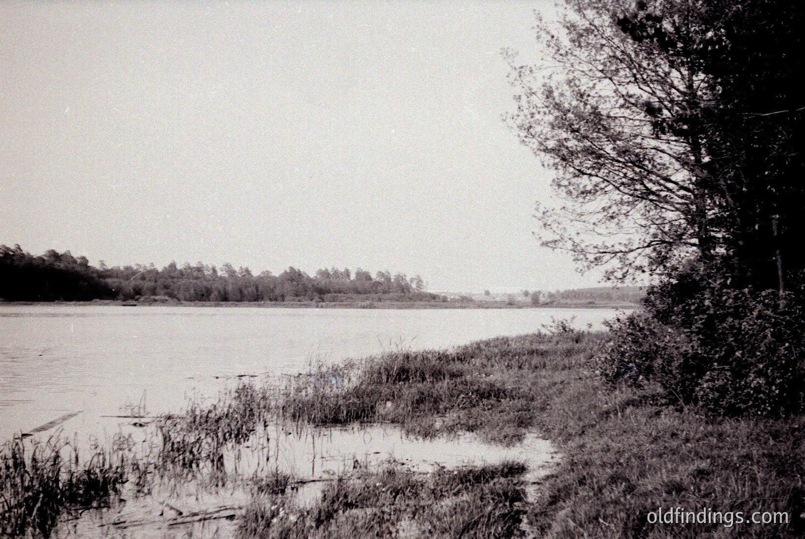 Vintage photograph