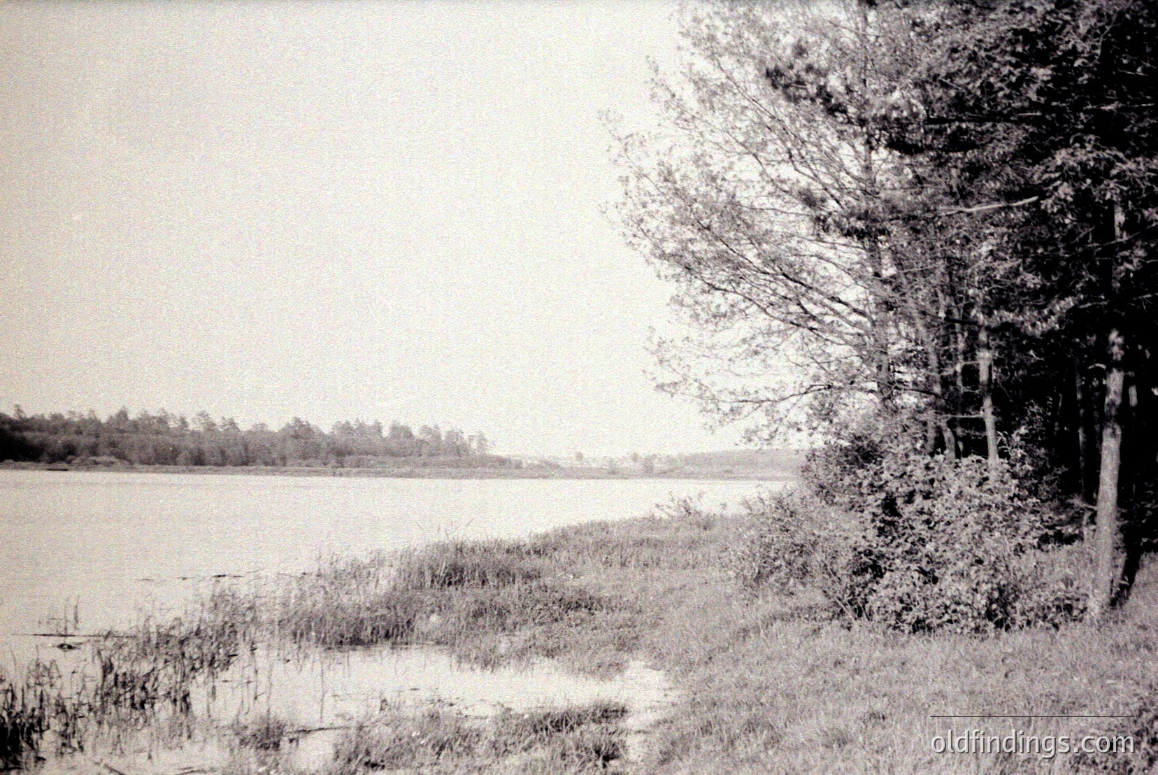 Vintage photograph