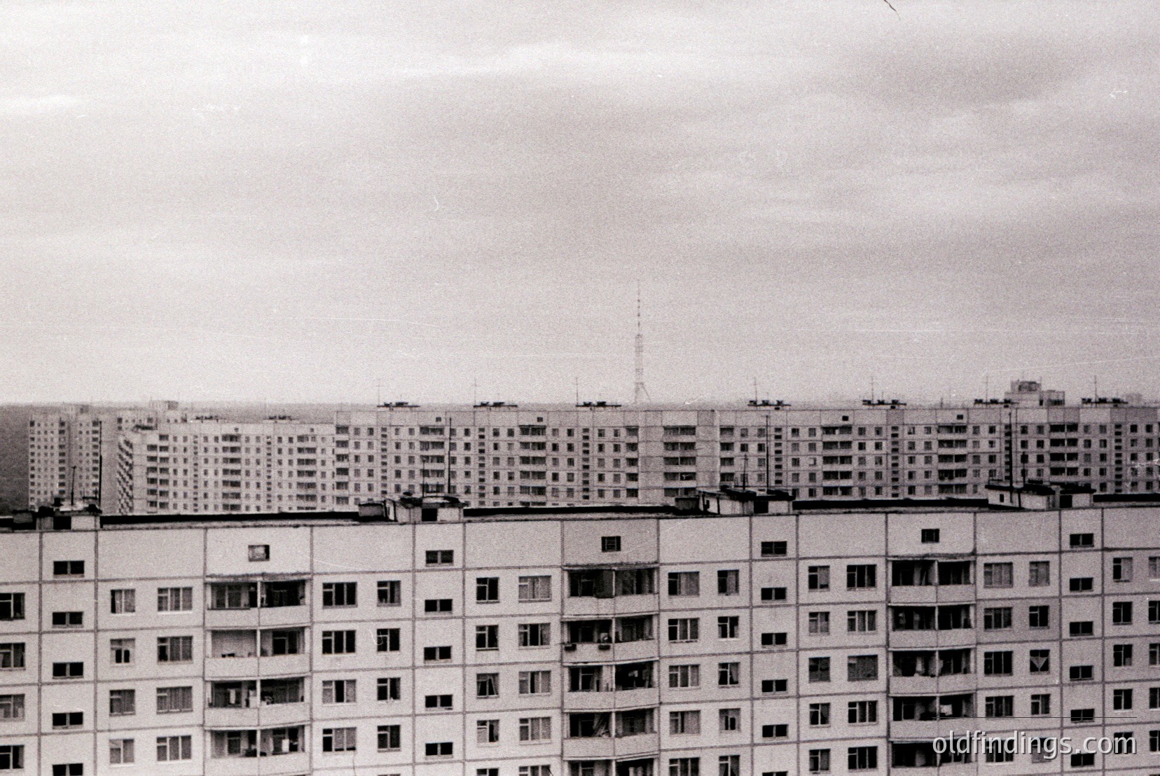 Vintage photograph