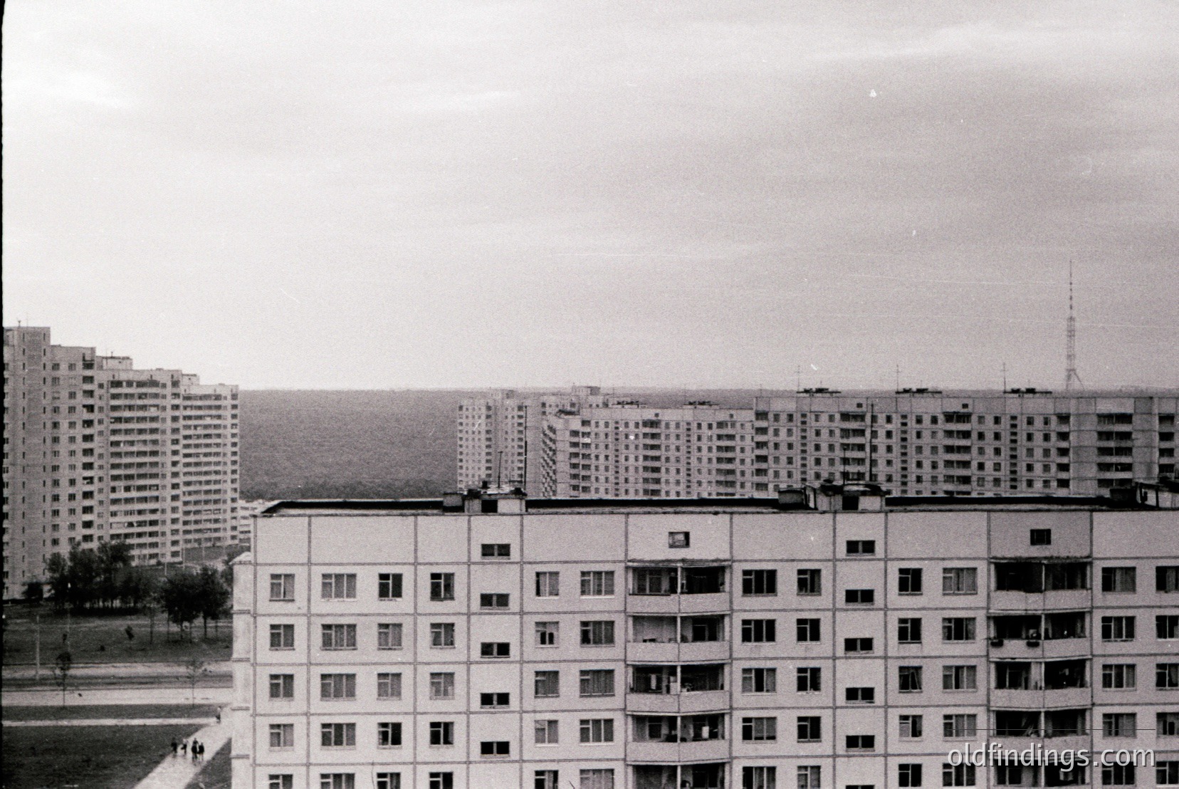 Vintage photograph