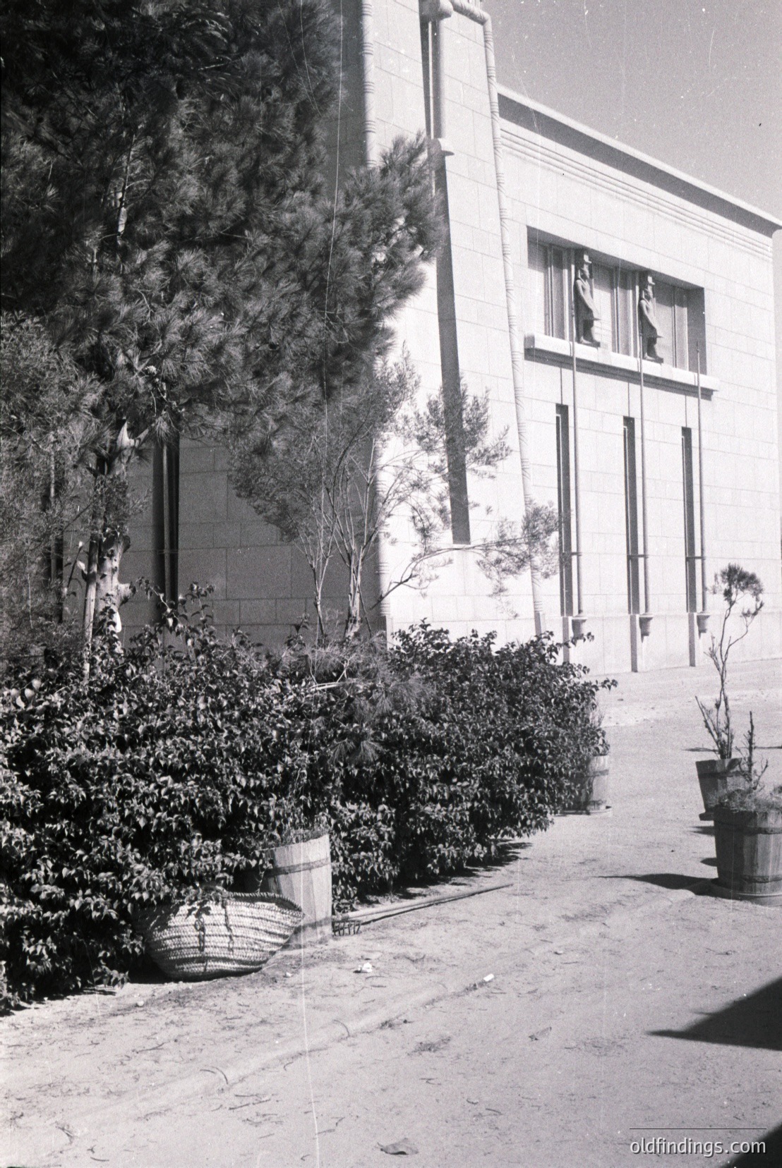 Vintage photograph