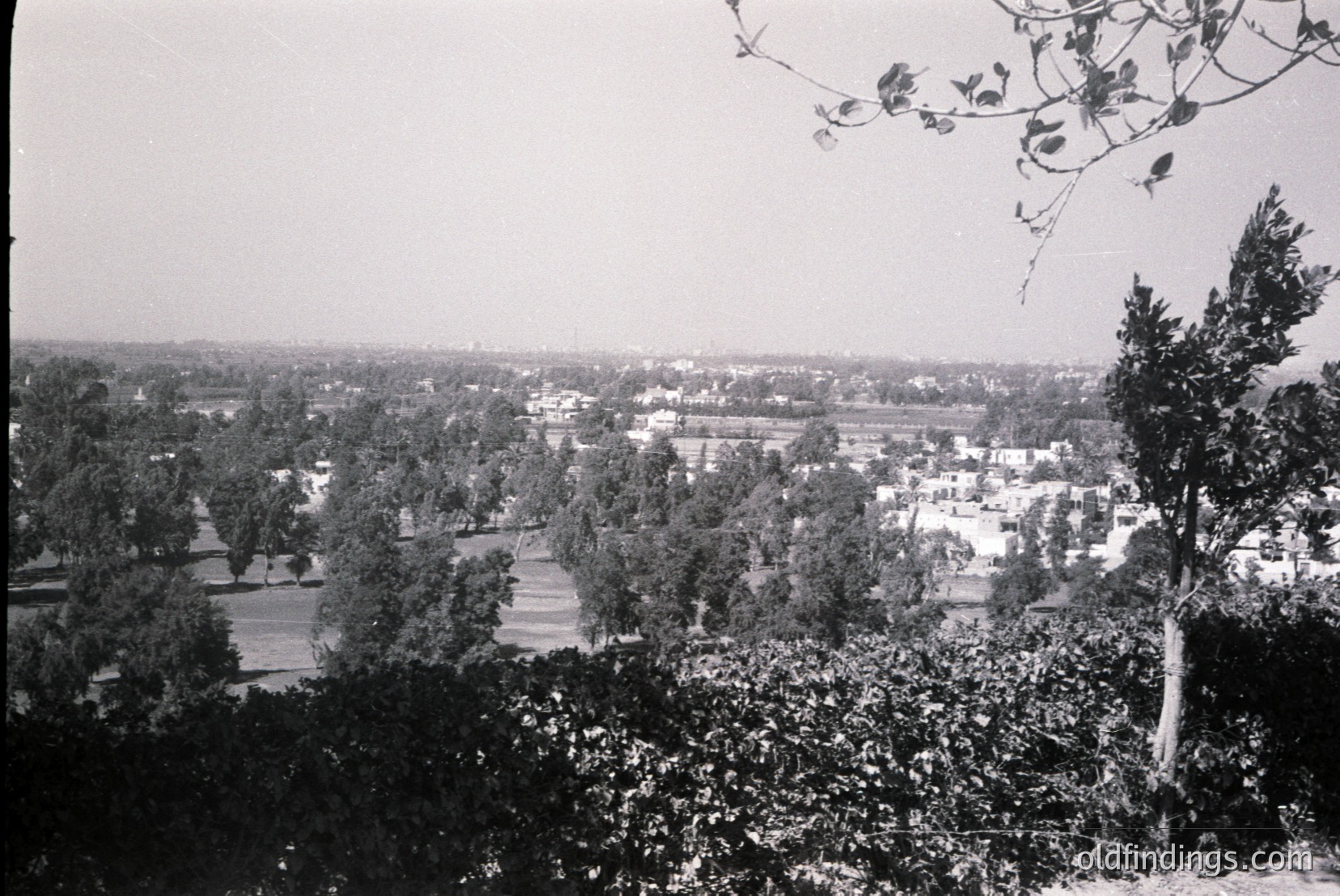 Vintage photograph