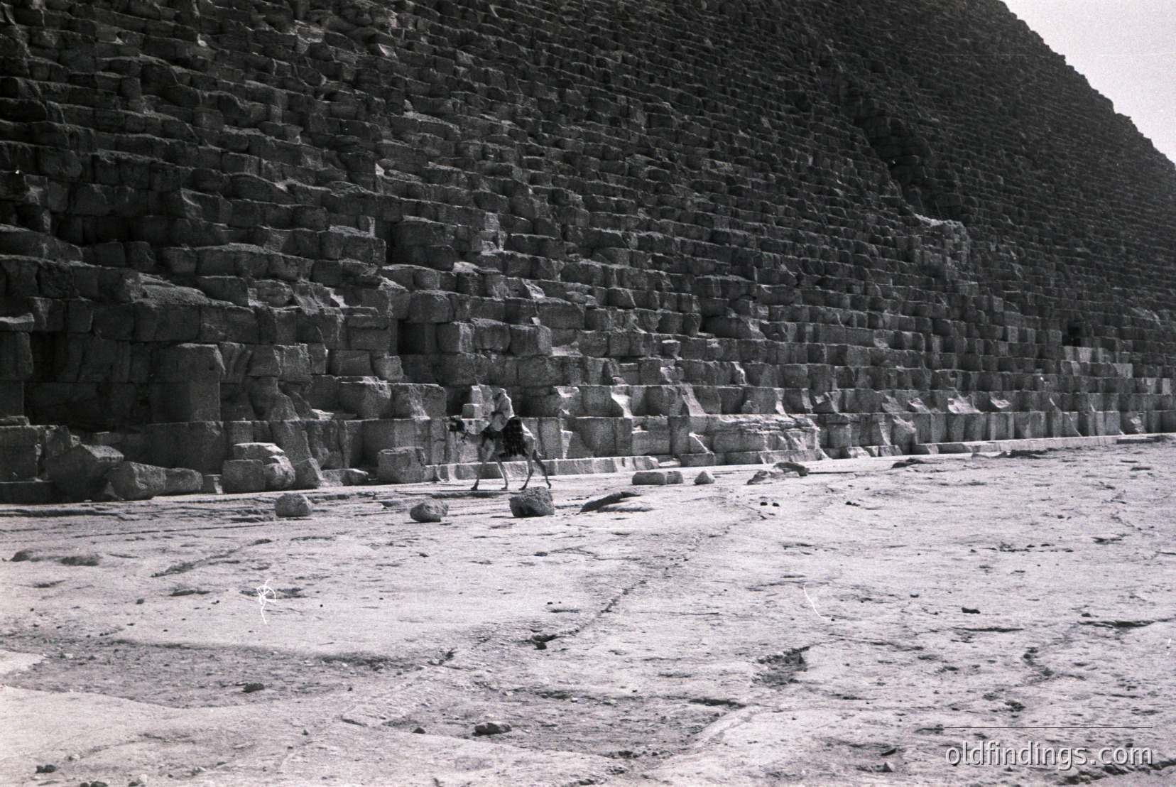 Vintage photograph