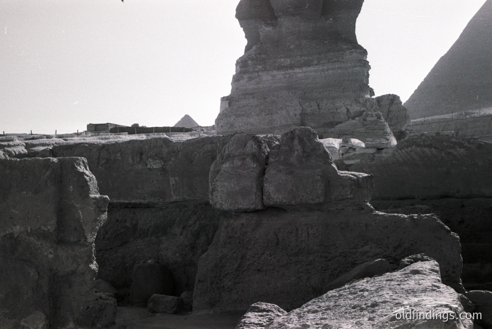 Vintage photograph