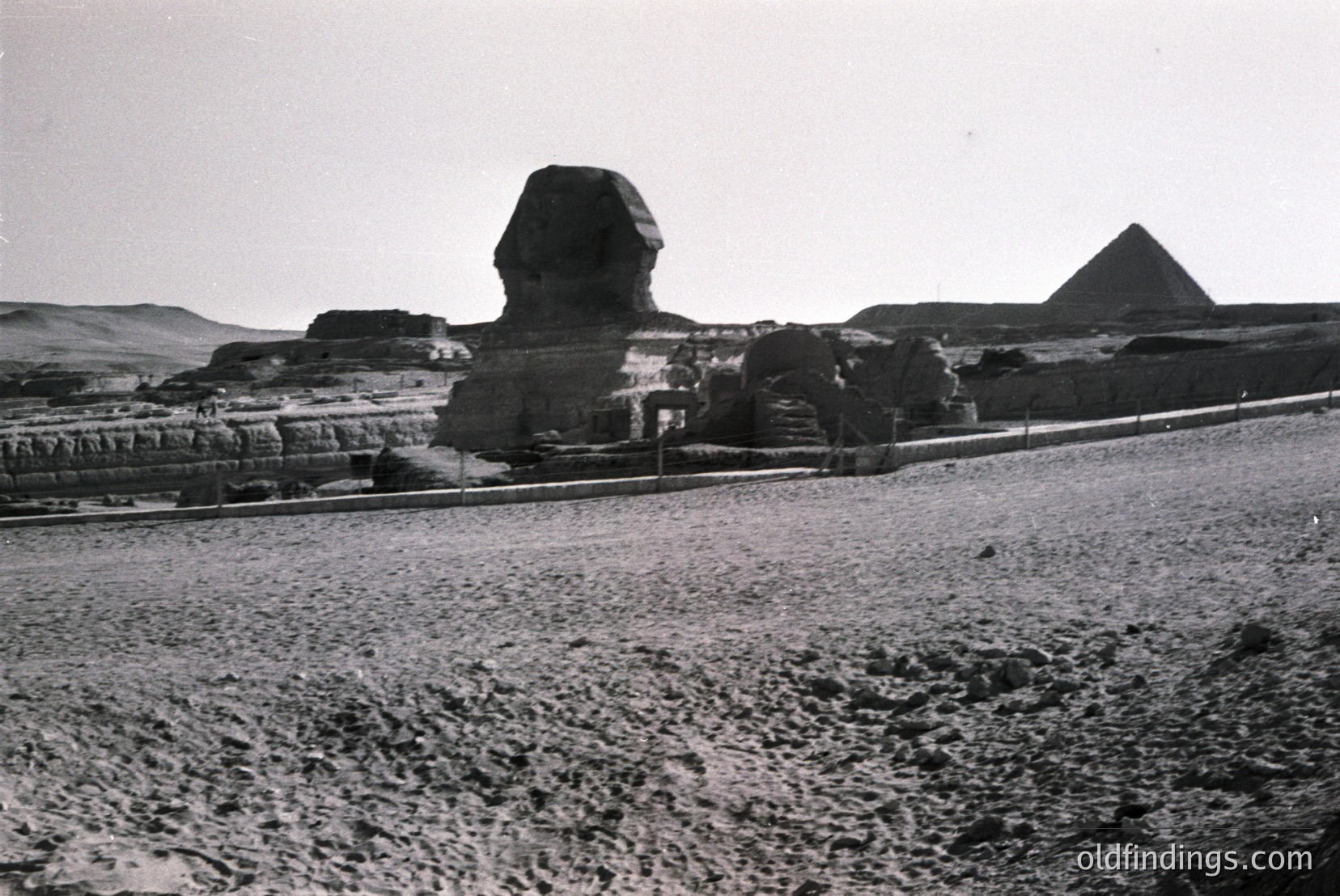 Vintage photograph