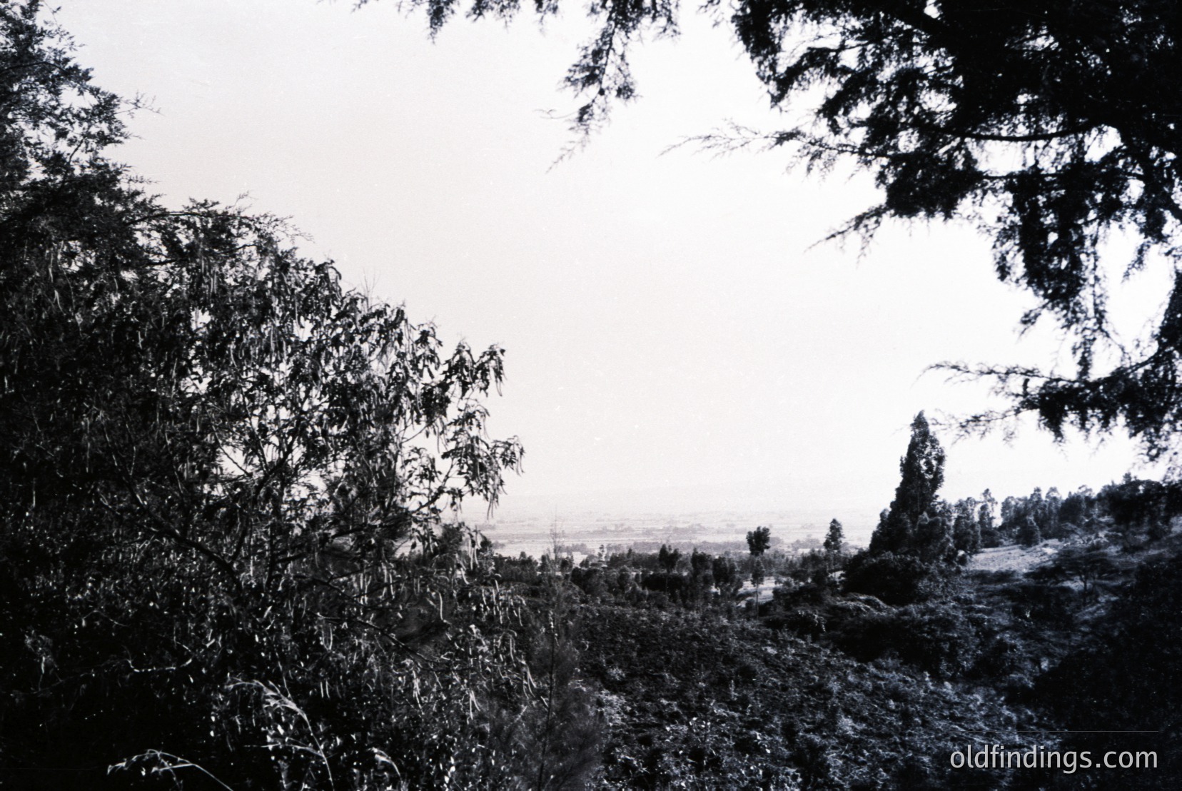 Vintage photograph