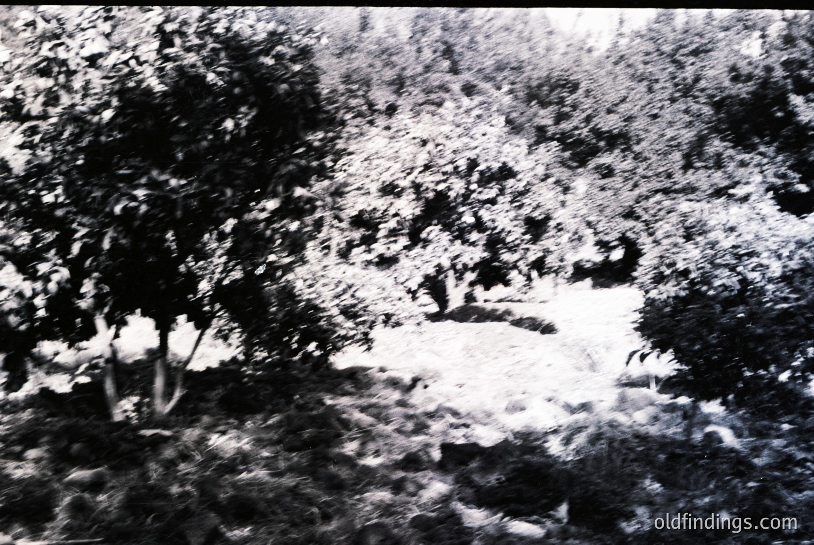 Vintage photograph