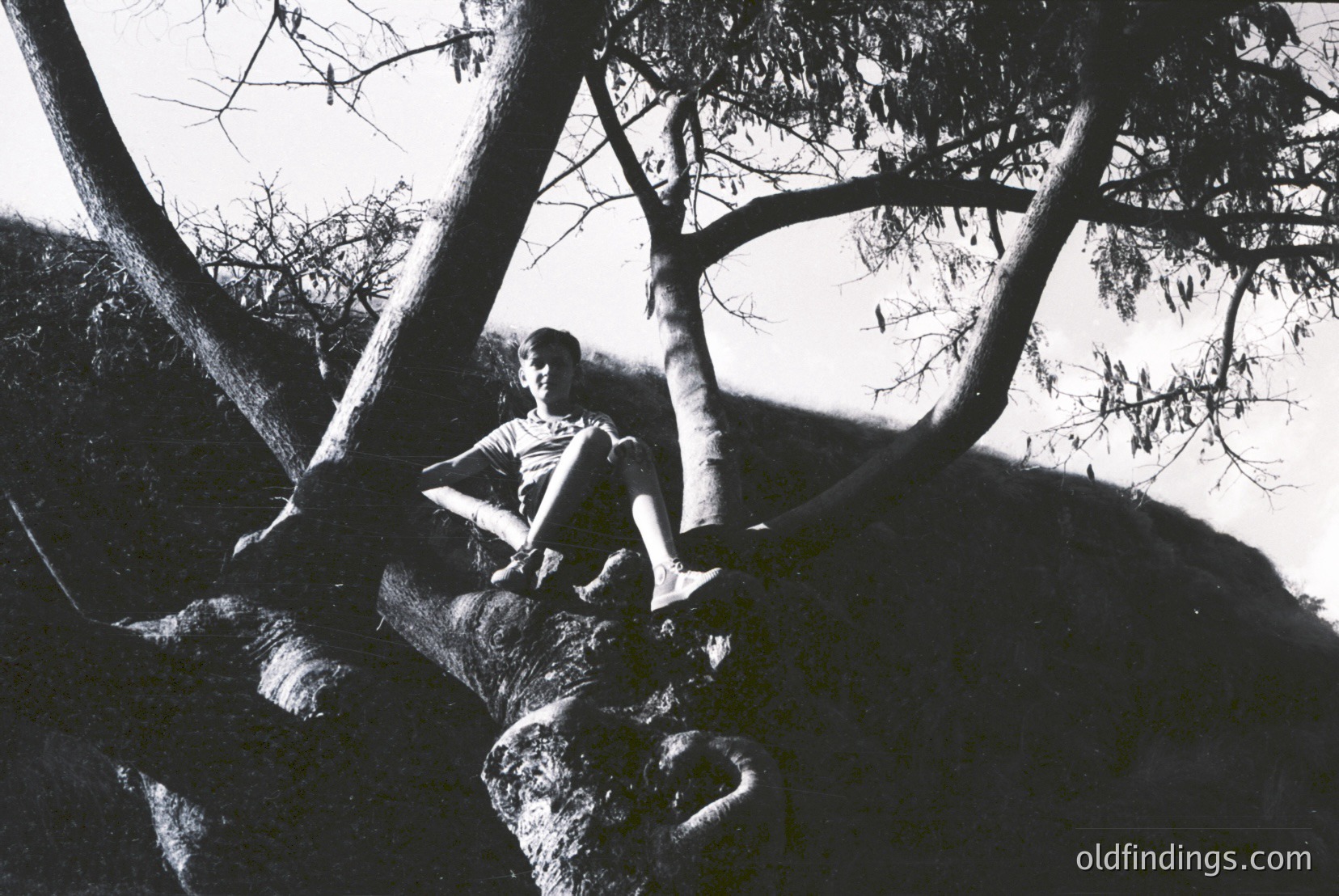 Vintage photograph