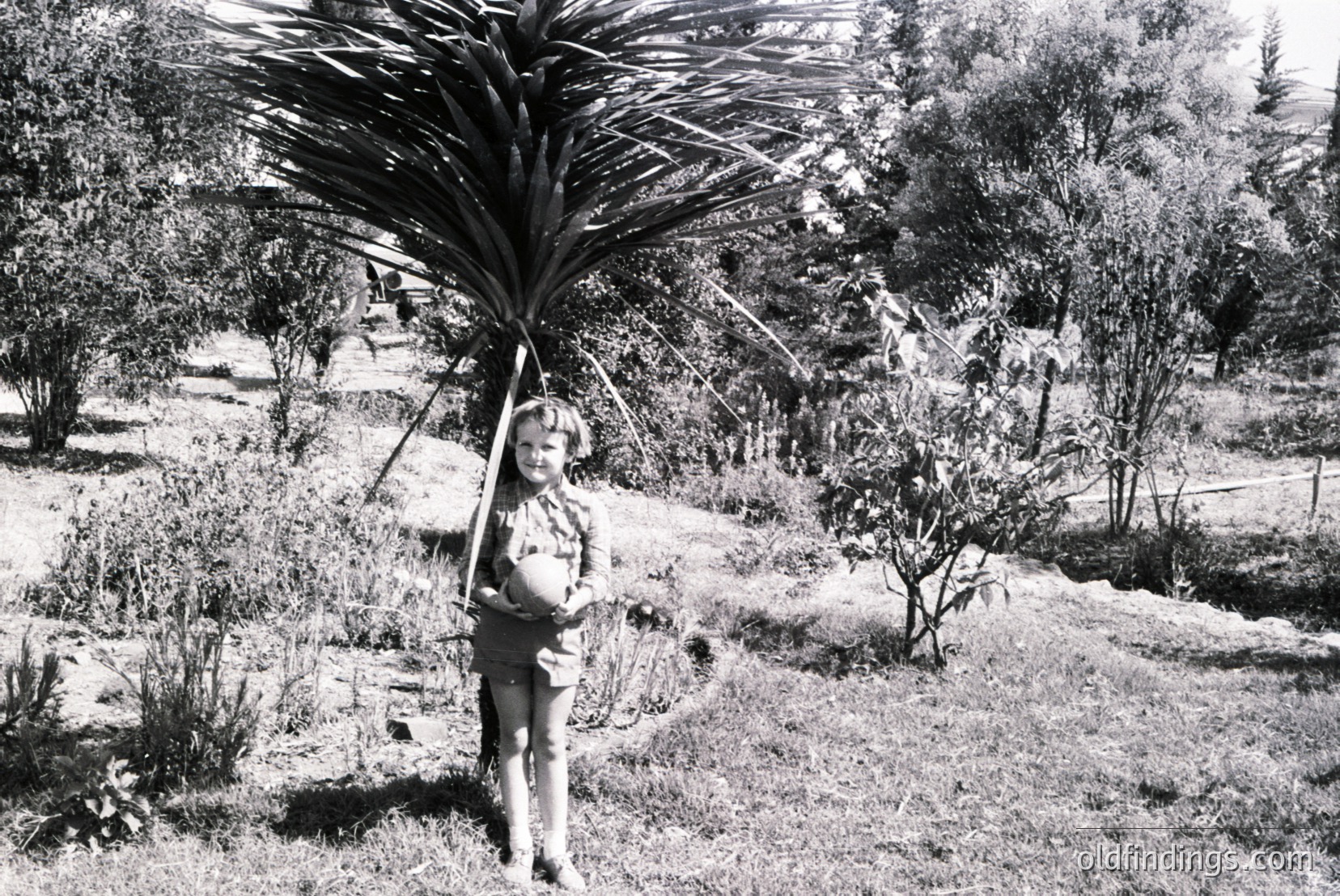 Vintage photograph