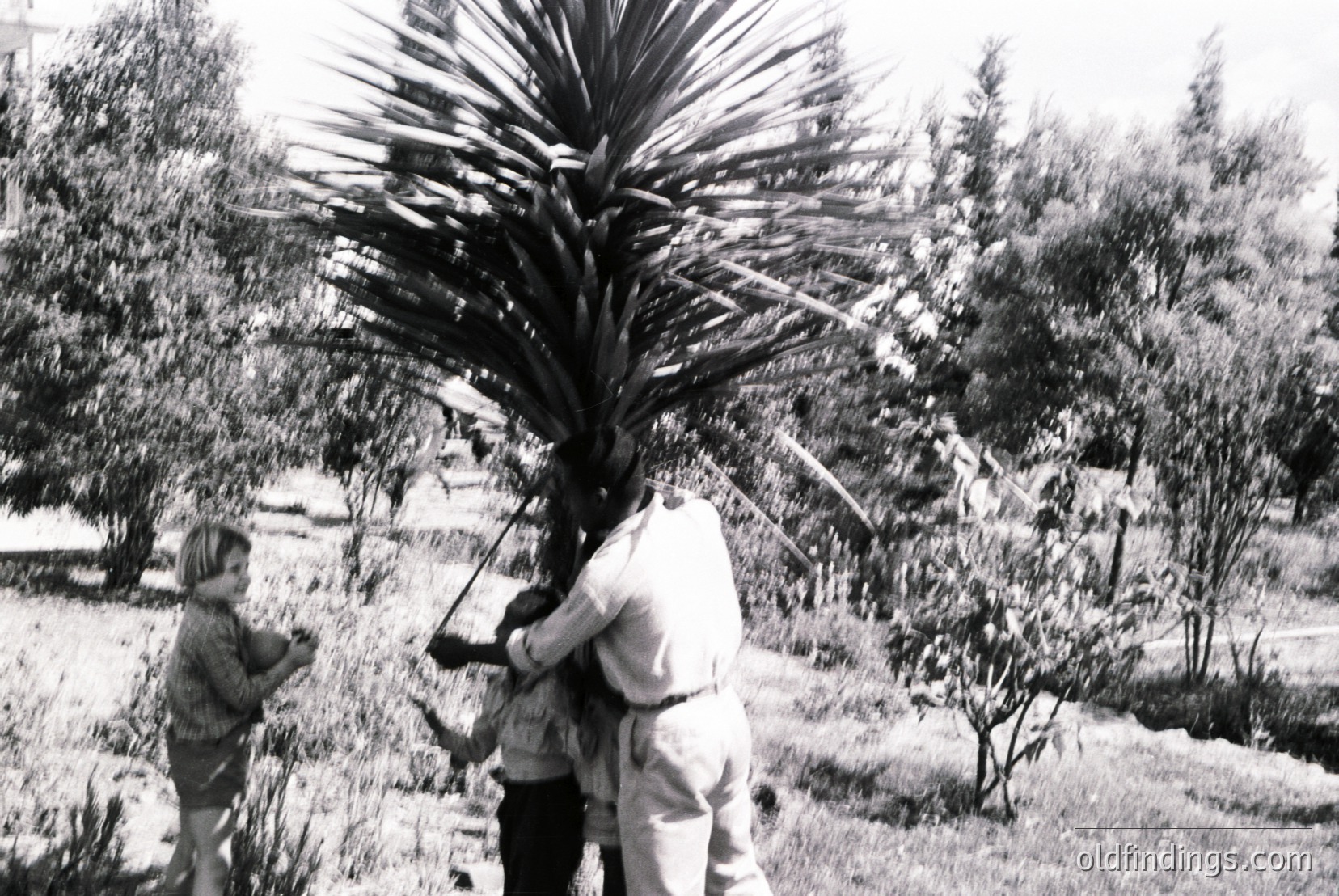 Vintage photograph
