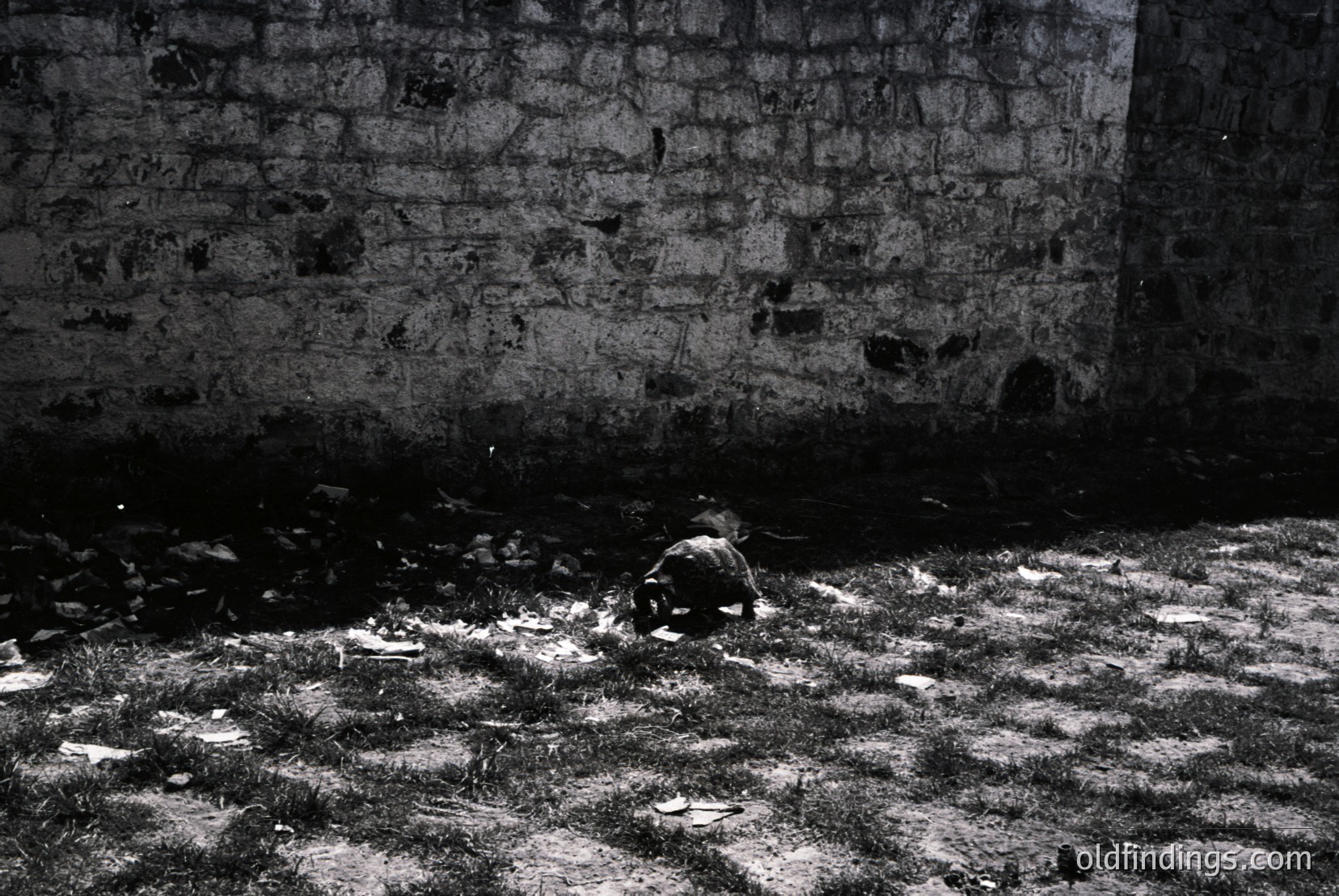 Vintage photograph