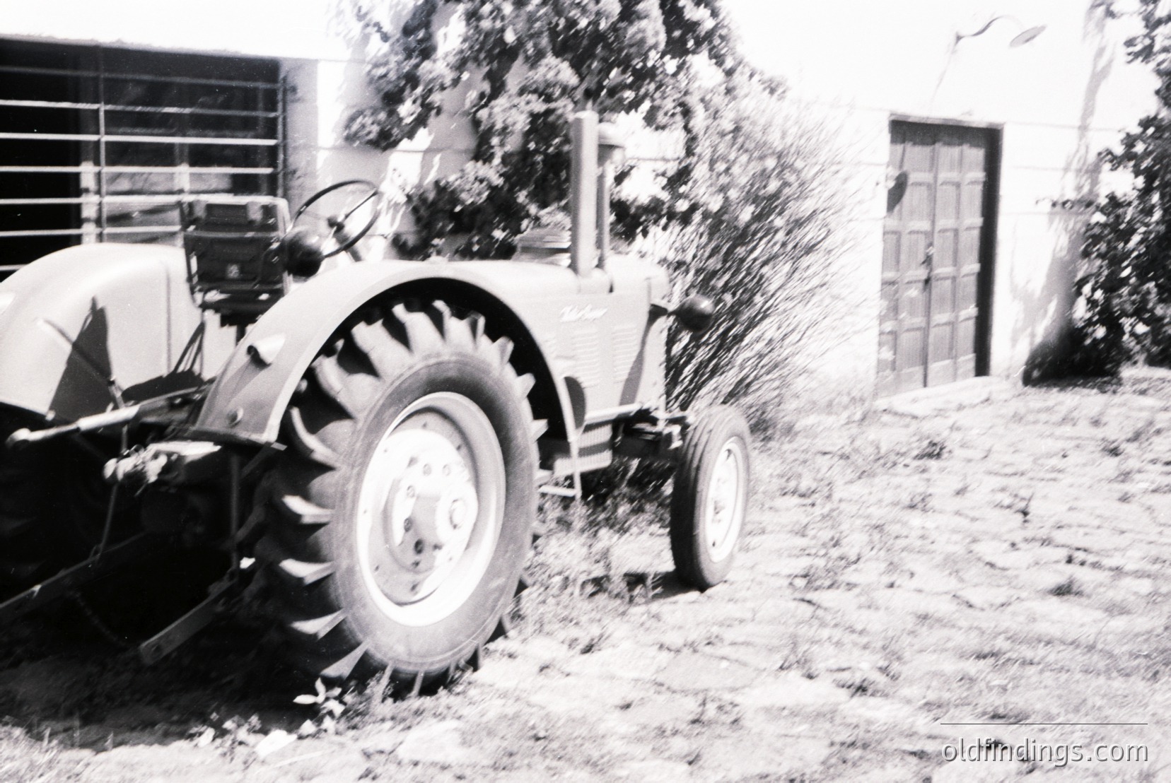 Vintage photograph