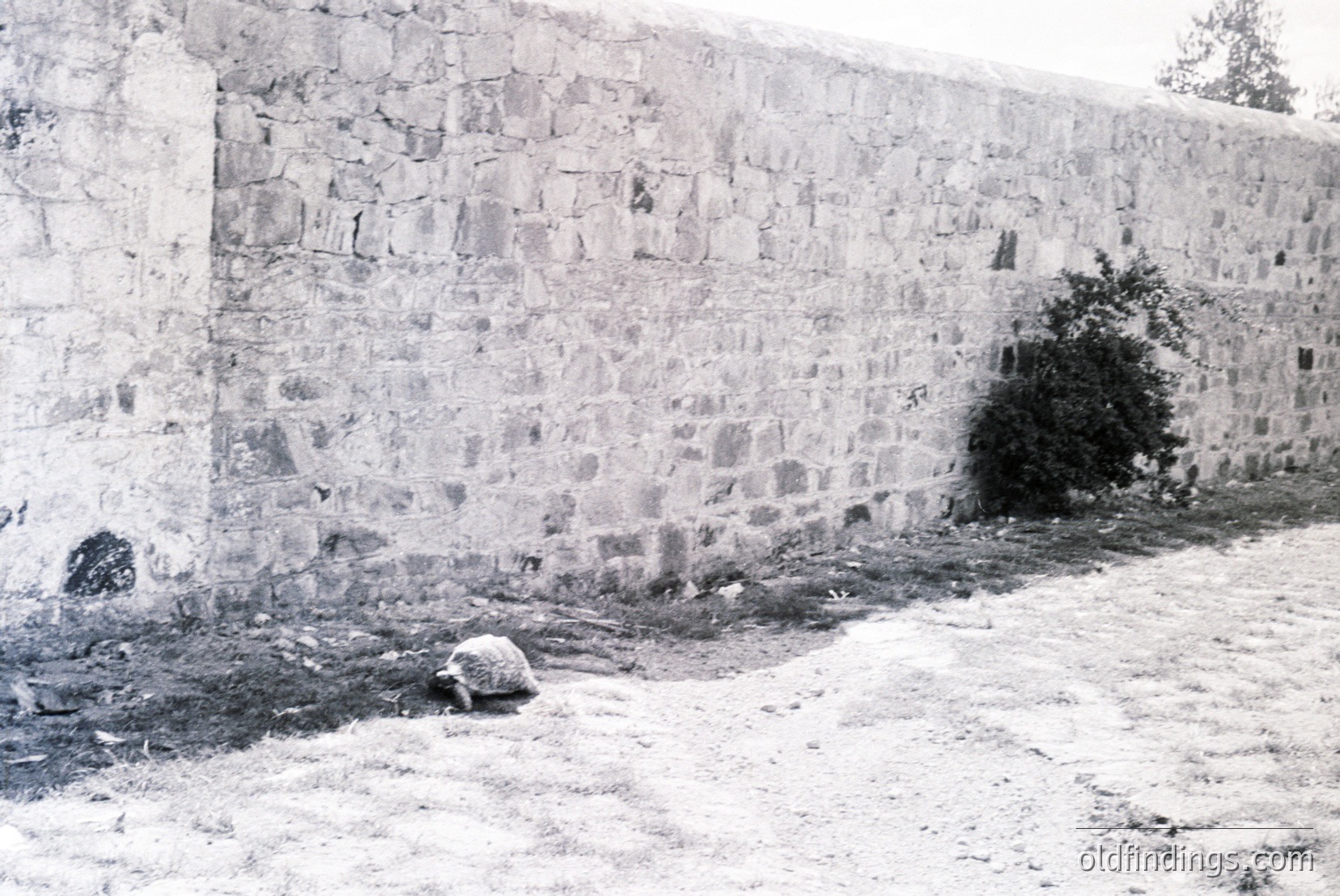 Vintage photograph